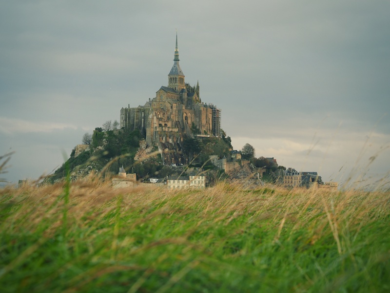 草むらに入ってローアングルで撮影。この辺りは沼地で、靴も洋服もドロドロになりながら撮影ポイントを探りました。