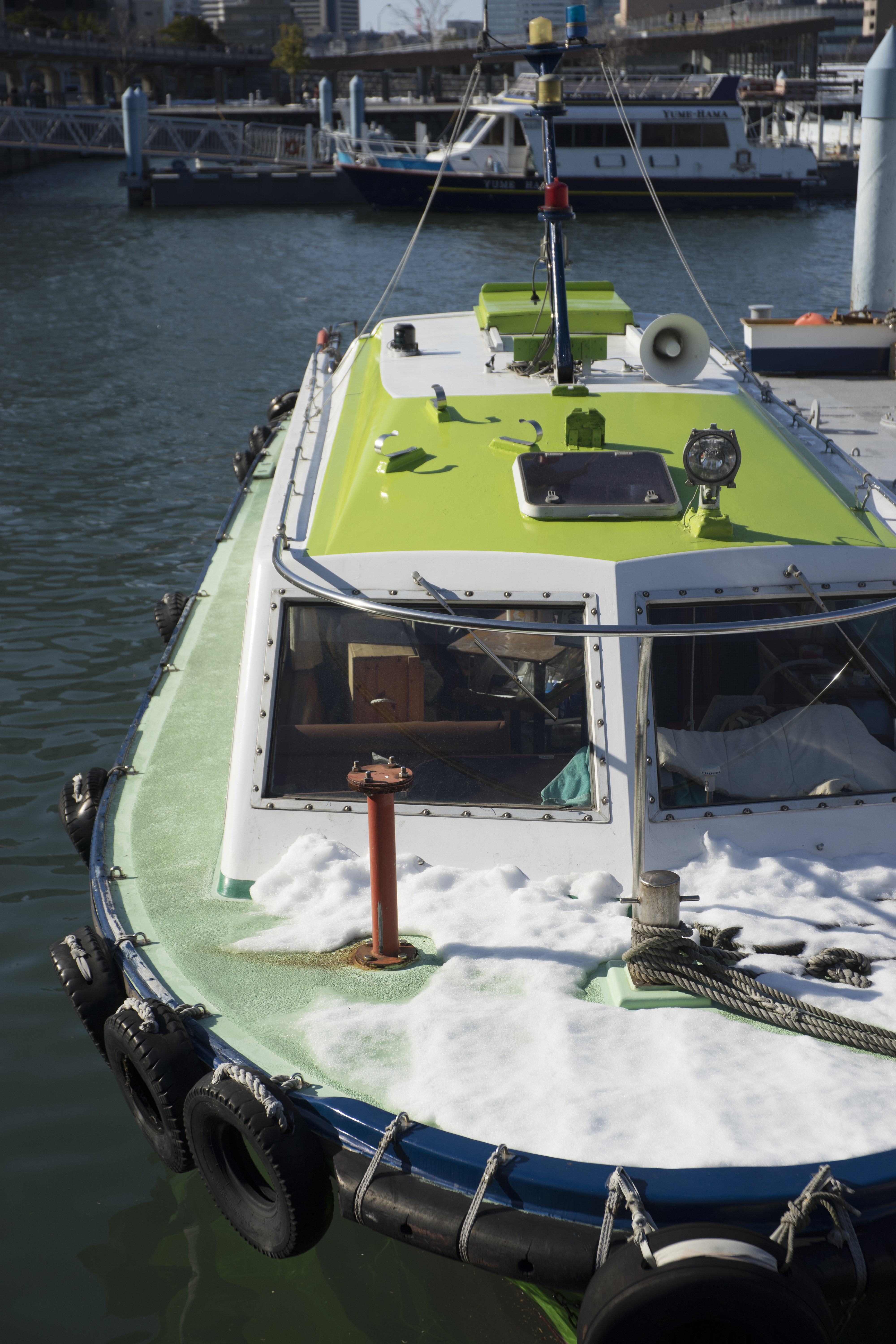 α7 / Vario-Sonnar T* 24-85mm F3.5-4.5 / 6,000×4,000 / 1/800秒 / F5.6 / 0EV / ISO100 / WB:オート / 55mm