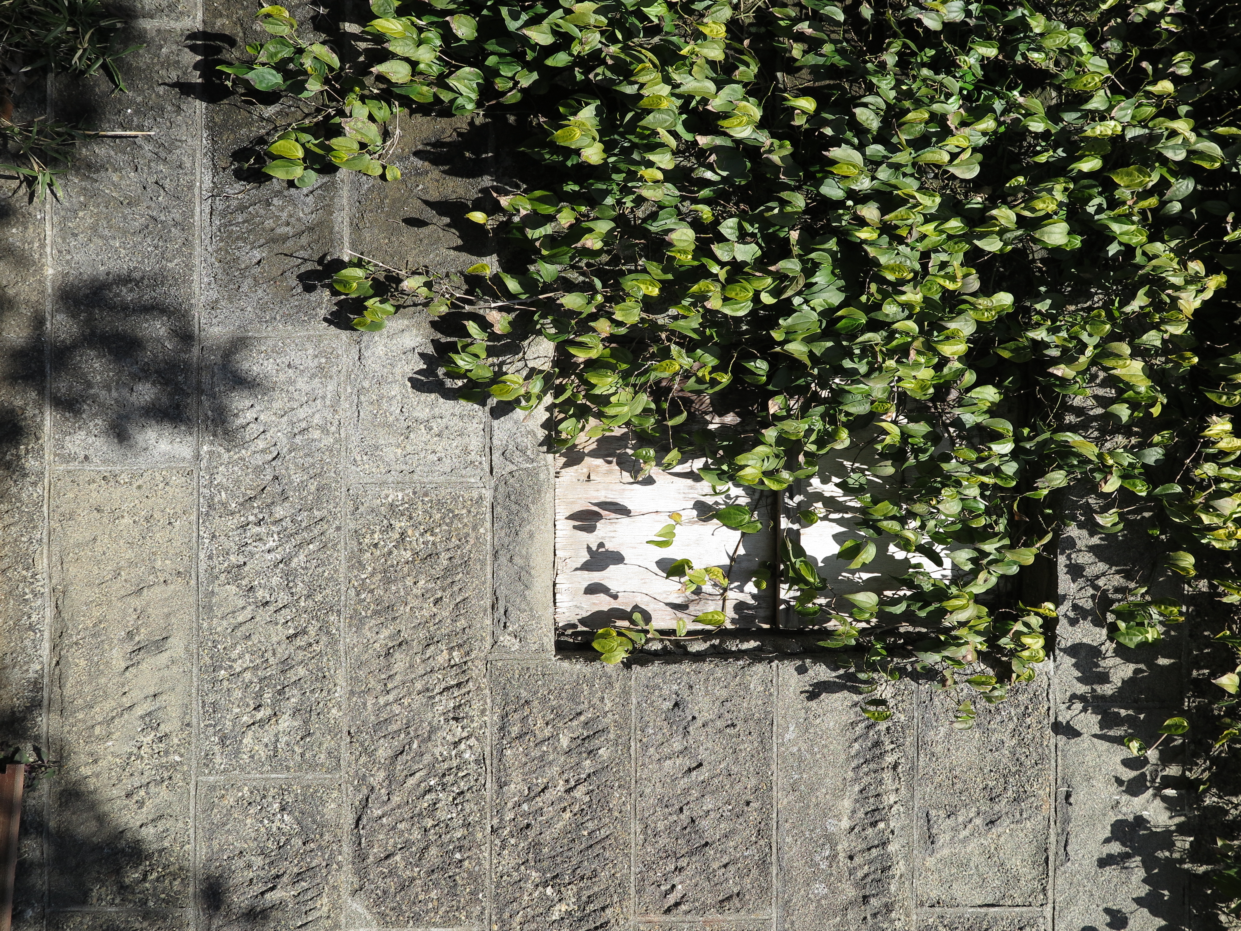 3,120×4,160（3：4） / F5.6 / 1/320 / 0EV / ISO100 / 14.6mm / WB:オート