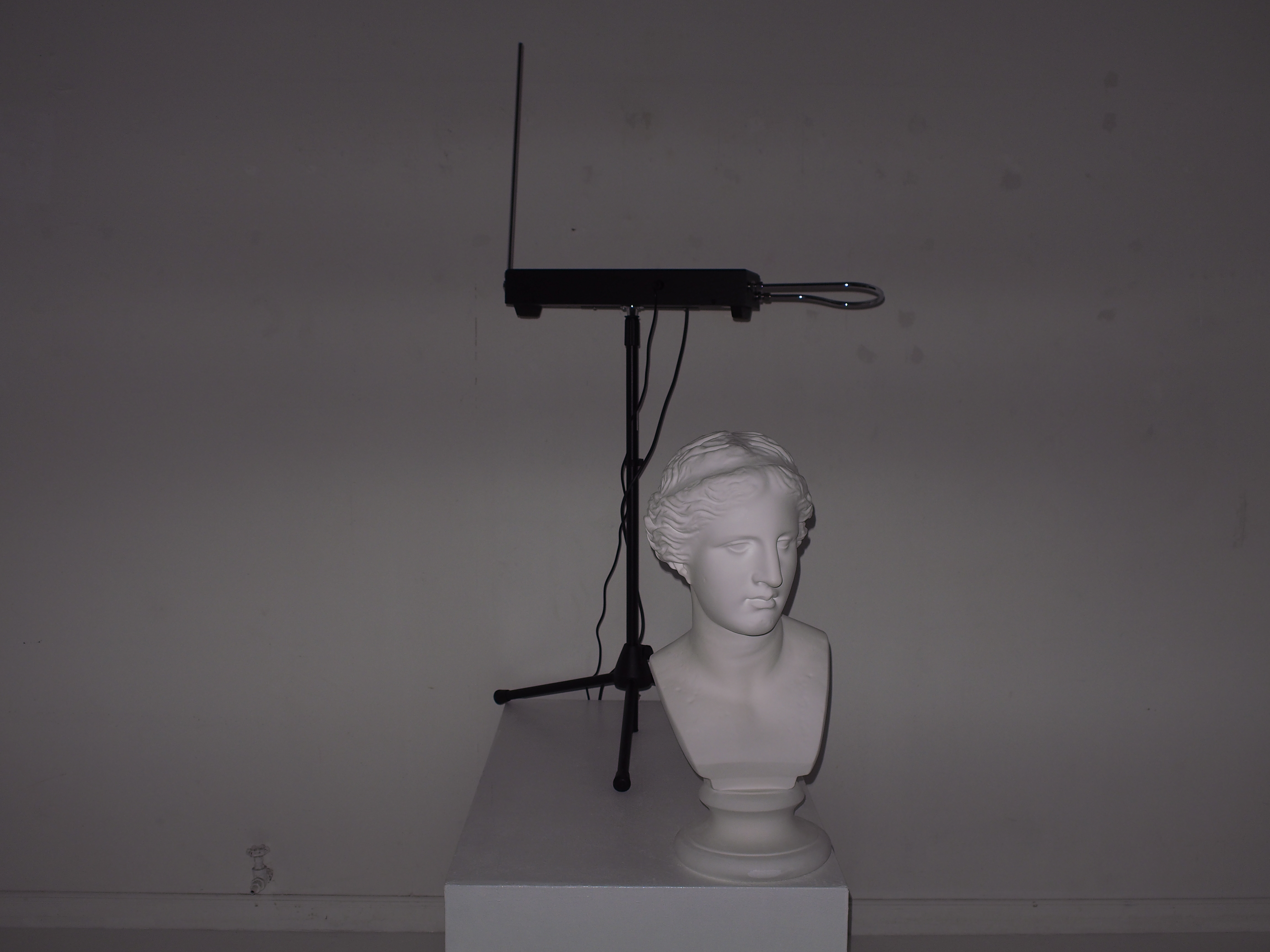 上記のシステムでテスト撮影をしてみた。被写体は藤沢市の「前衛実験NETART」で展示されていた、如月愛氏のレディ・メイド作品「テルミンとミロのヴィーナス」である。ちょっと照明ムラがあるようだが、それも味わいだと解釈しよう（笑）。露出はISO200、F2.8、シャッター速度0.6秒で、ストロボやフラッシュバルブに比べるとかなり光量が落ちる。しかしこれも使いようによるだろう。