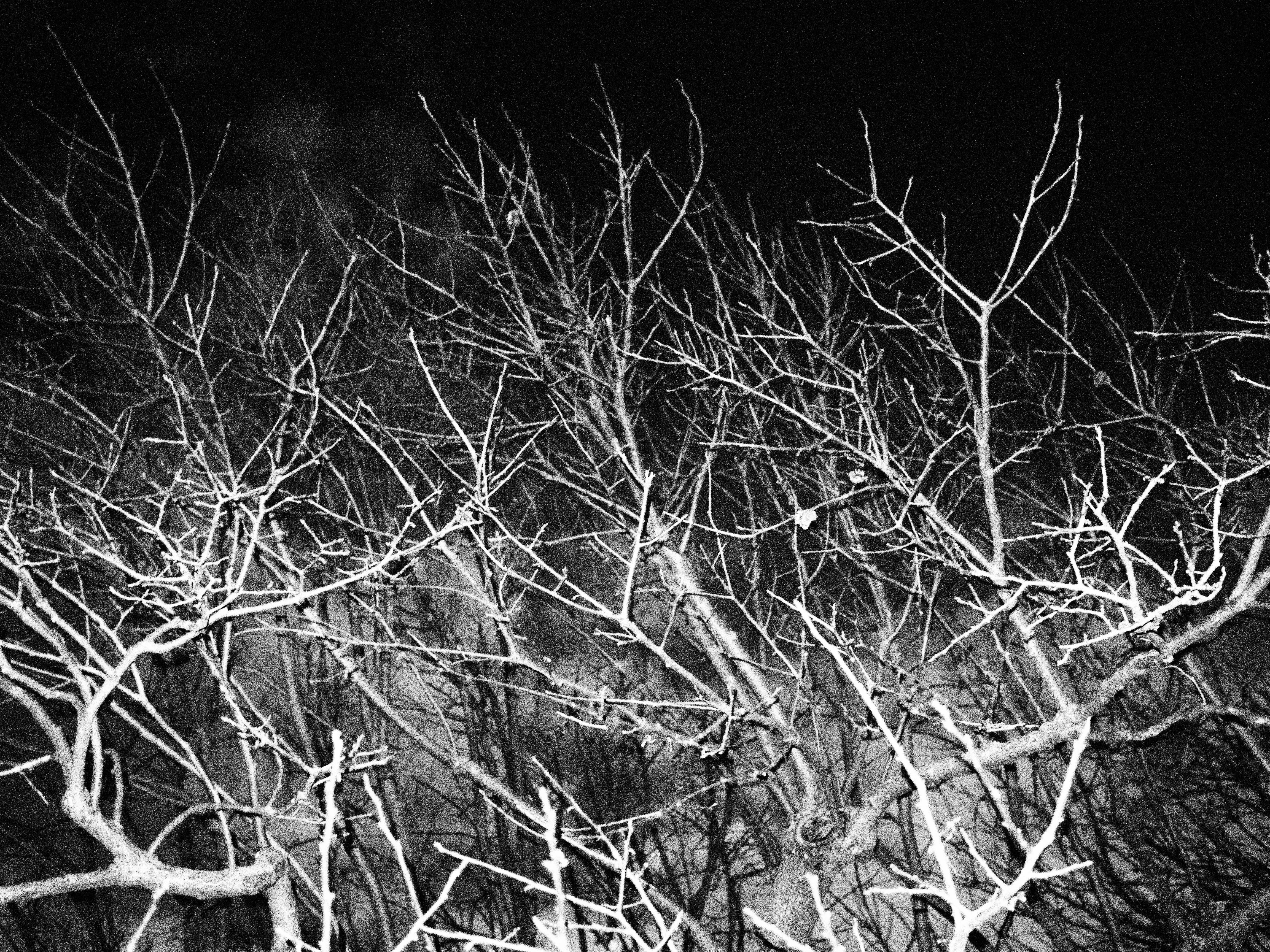 E-PL5 / M.ZUIKO DIGITAL 17mm F1.8 / 1/20秒 / F1.8 / 0EV / ISO25600 / ラフモノクローム / 17mm