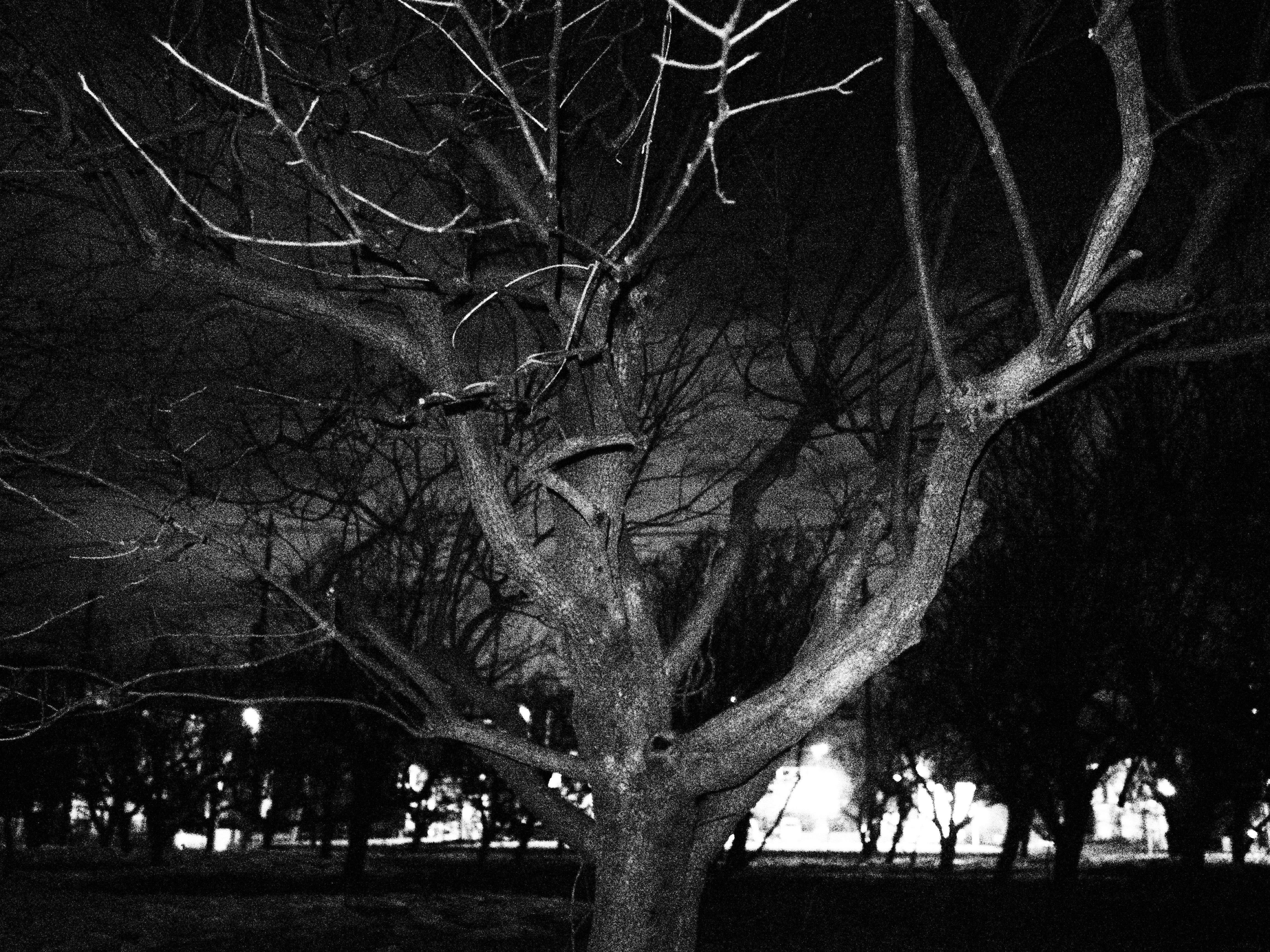 E-PL5 / M.ZUIKO DIGITAL 17mm F1.8 / 1/30秒 / F1.8 / 0EV / ISO25600 / ラフモノクローム / 17mm