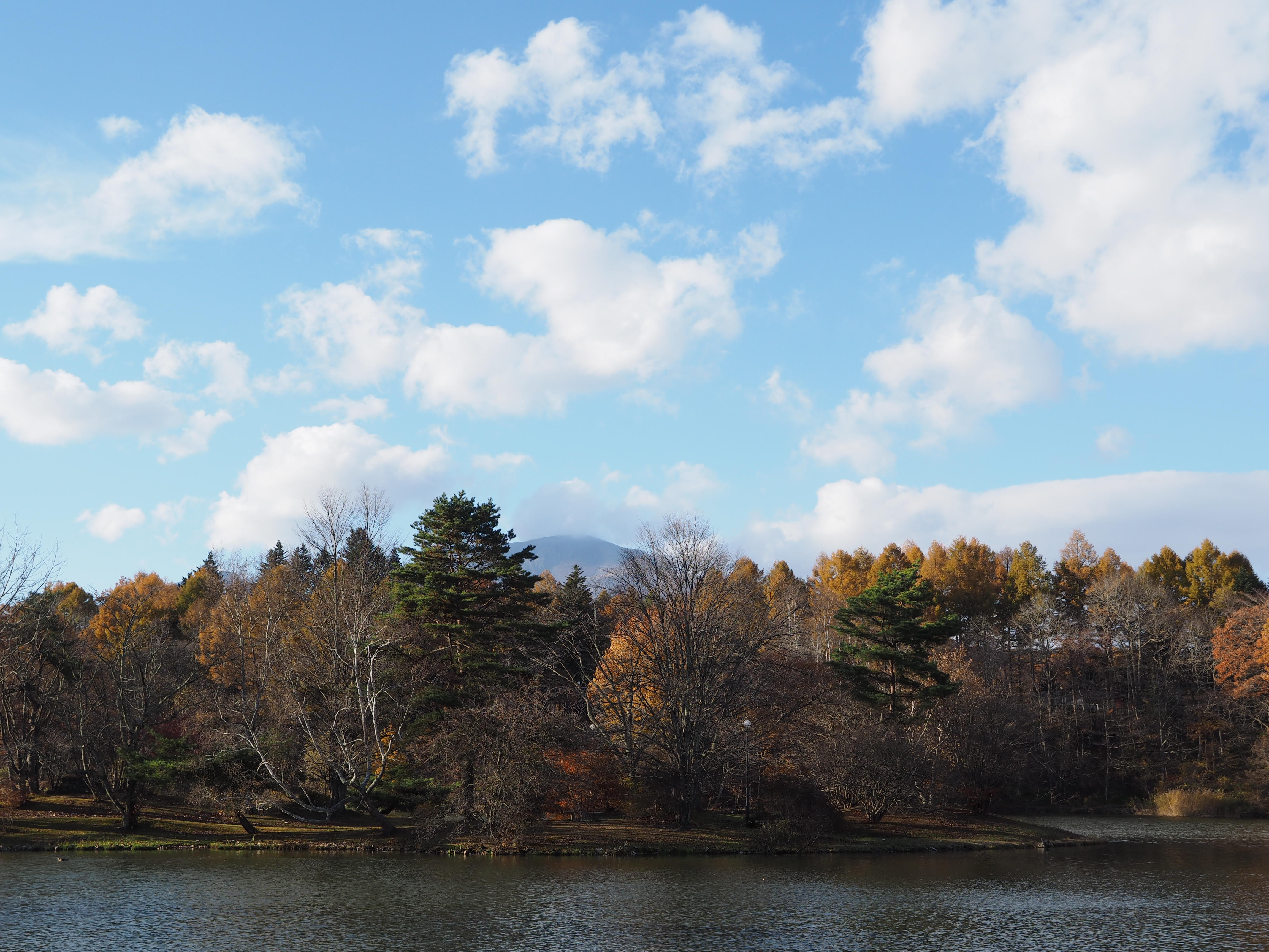 1/640秒 / F5.6 / +0.7EV / ISO200 / 絞り優先AE / WB：晴天 / 23mm