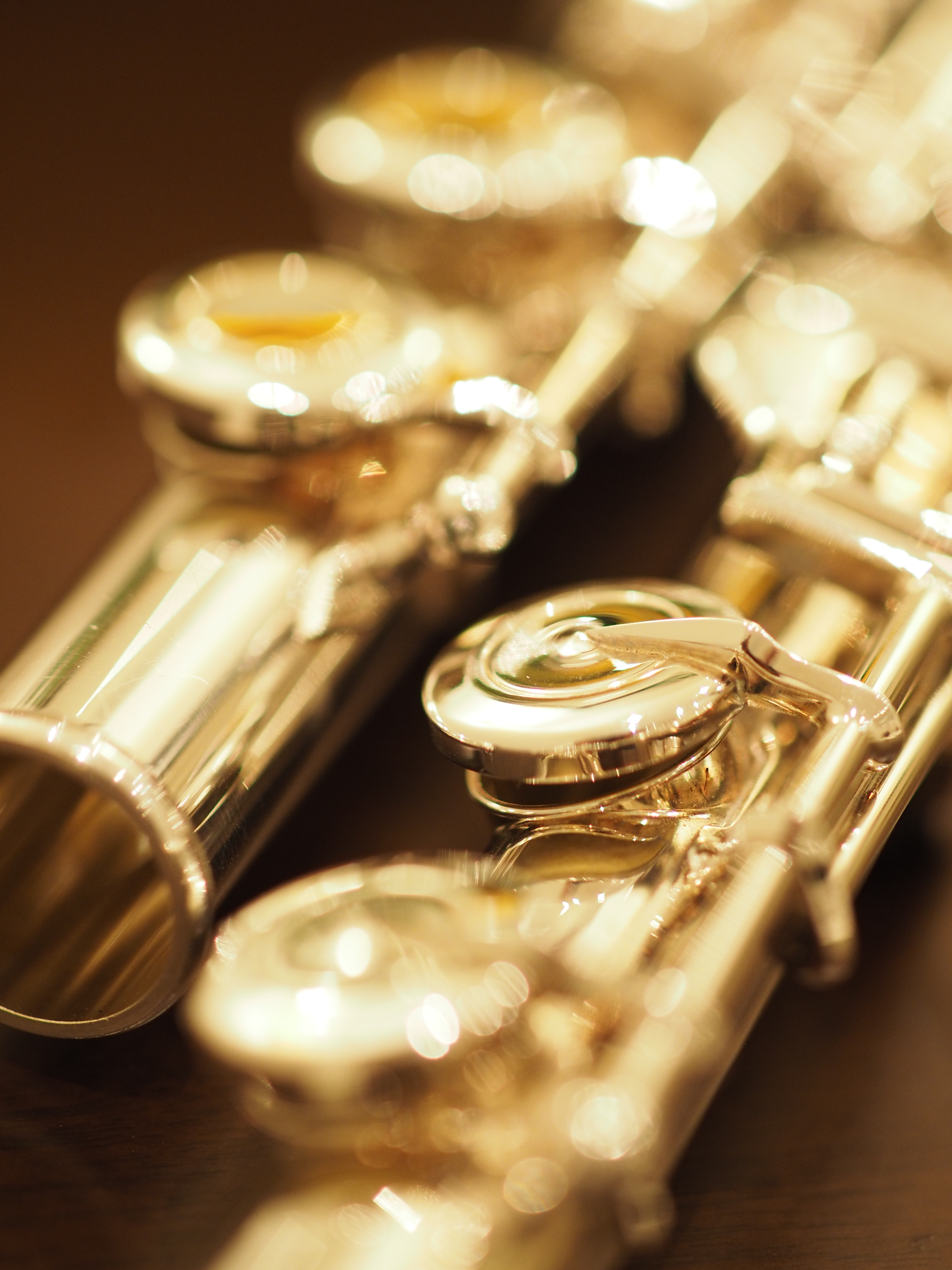 1/100秒 / F2 / +1EV / ISO800 / 絞り優先AE / WB：オート / 50mm