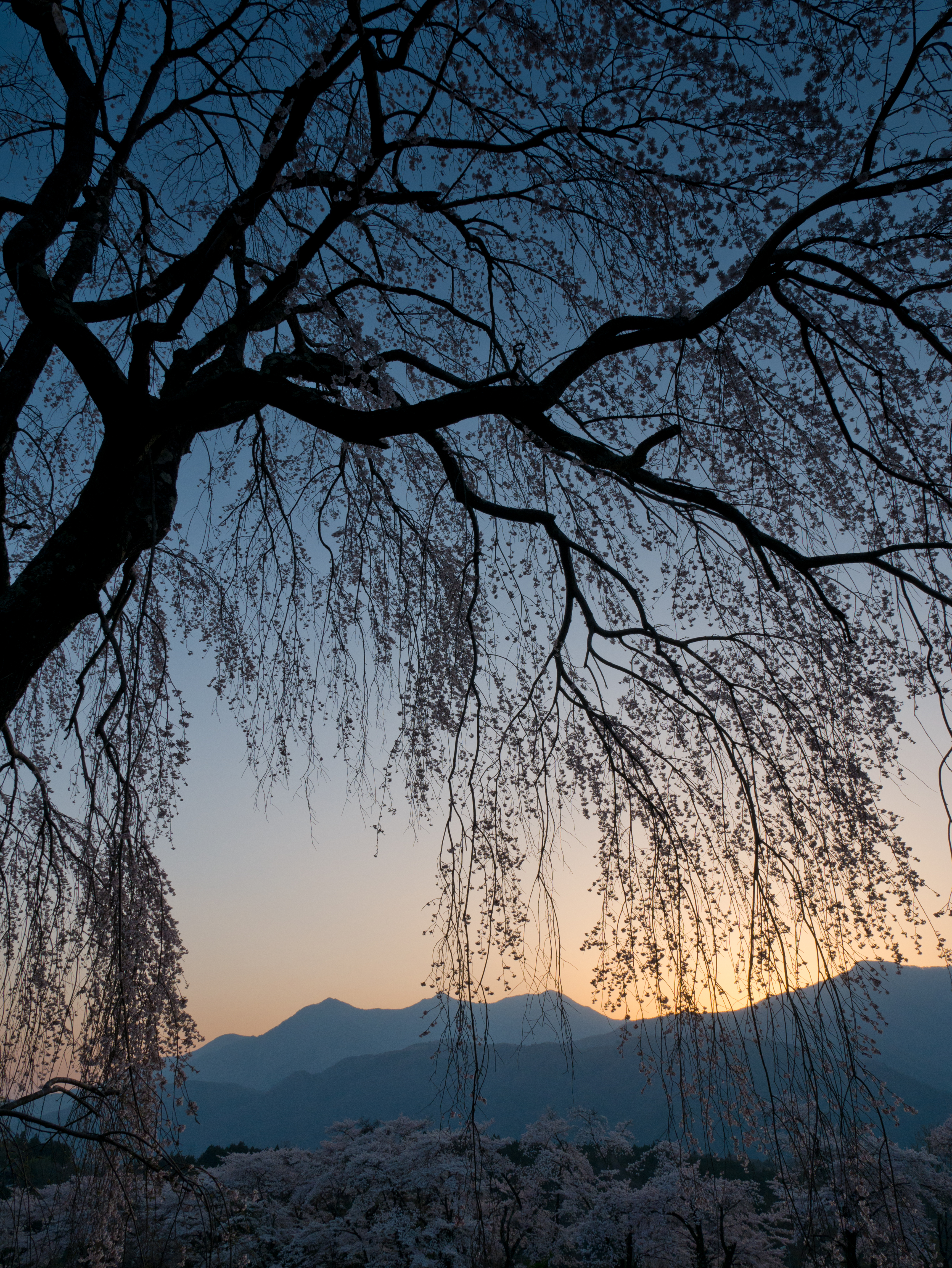 朝日が稜線をオレンジ色に染め始めたタイミングに12mm（35mm換算24mm）で撮影。レンズの強力な手ブレ補正機能のおかげで、こんな時間帯でも安心して手持ち撮影ができるのは強みの1つ。画面の隅々まで高品位な画質が保たれているので、高画質が特徴のGX7とのコンビで使いたいレンズです。DMC-GX7　LUMIX G X VARIO 12-35mm/F2.8 ASPH.POWER O.I.S.　F8　1/200　±0EV　ISO200　WB:オート　12mm