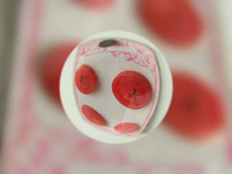 小さなボタンを撮影。EX-100ではクローズアップ撮影ができるので、小さな被写体を宙玉に閉じ込めることも可能。