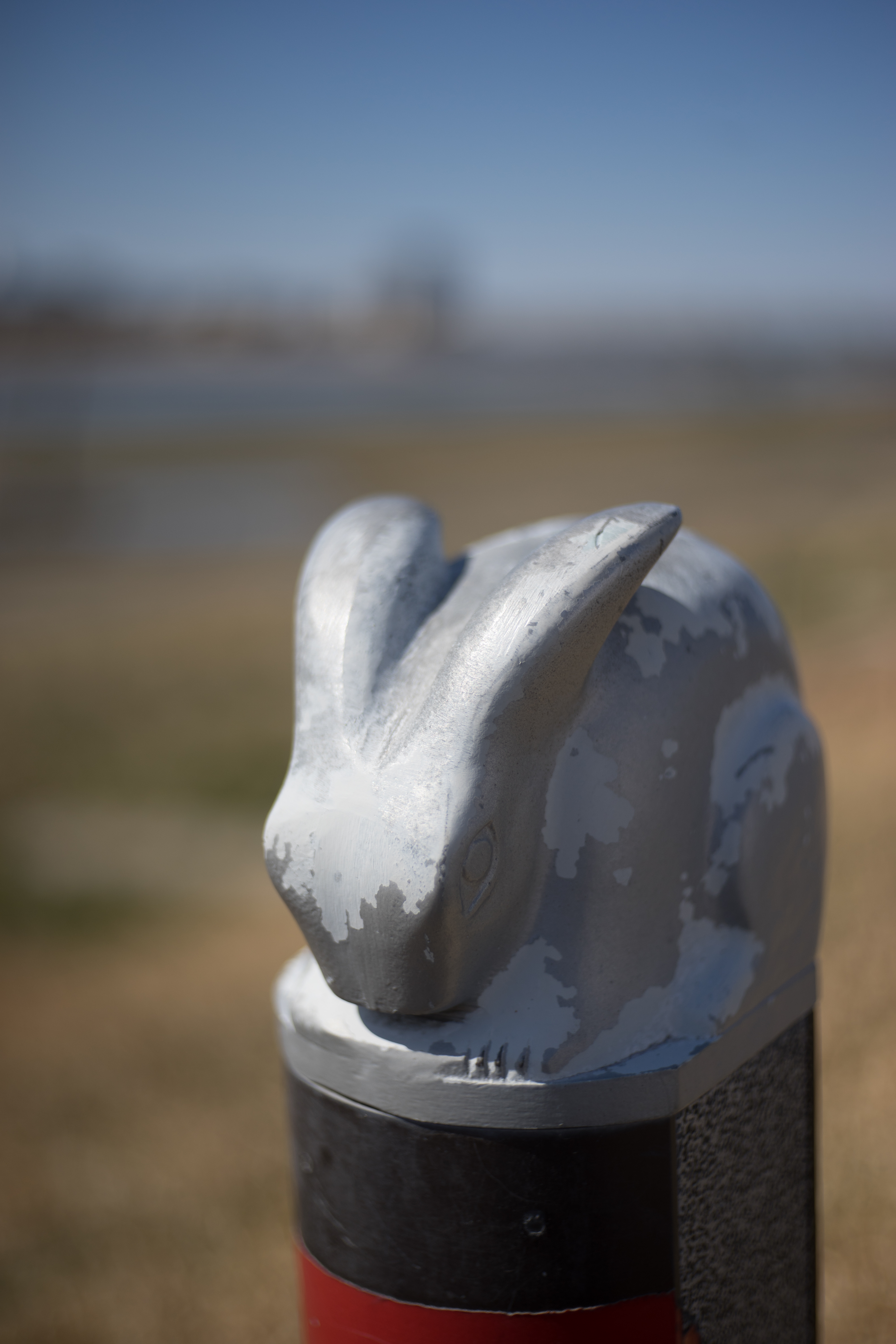 α7 / Xenon 50mm F2.3 / 6,000×4,000 / 1/5,000秒 / F2.3 / 0EV / ISO100 / WB:オート / 50mm