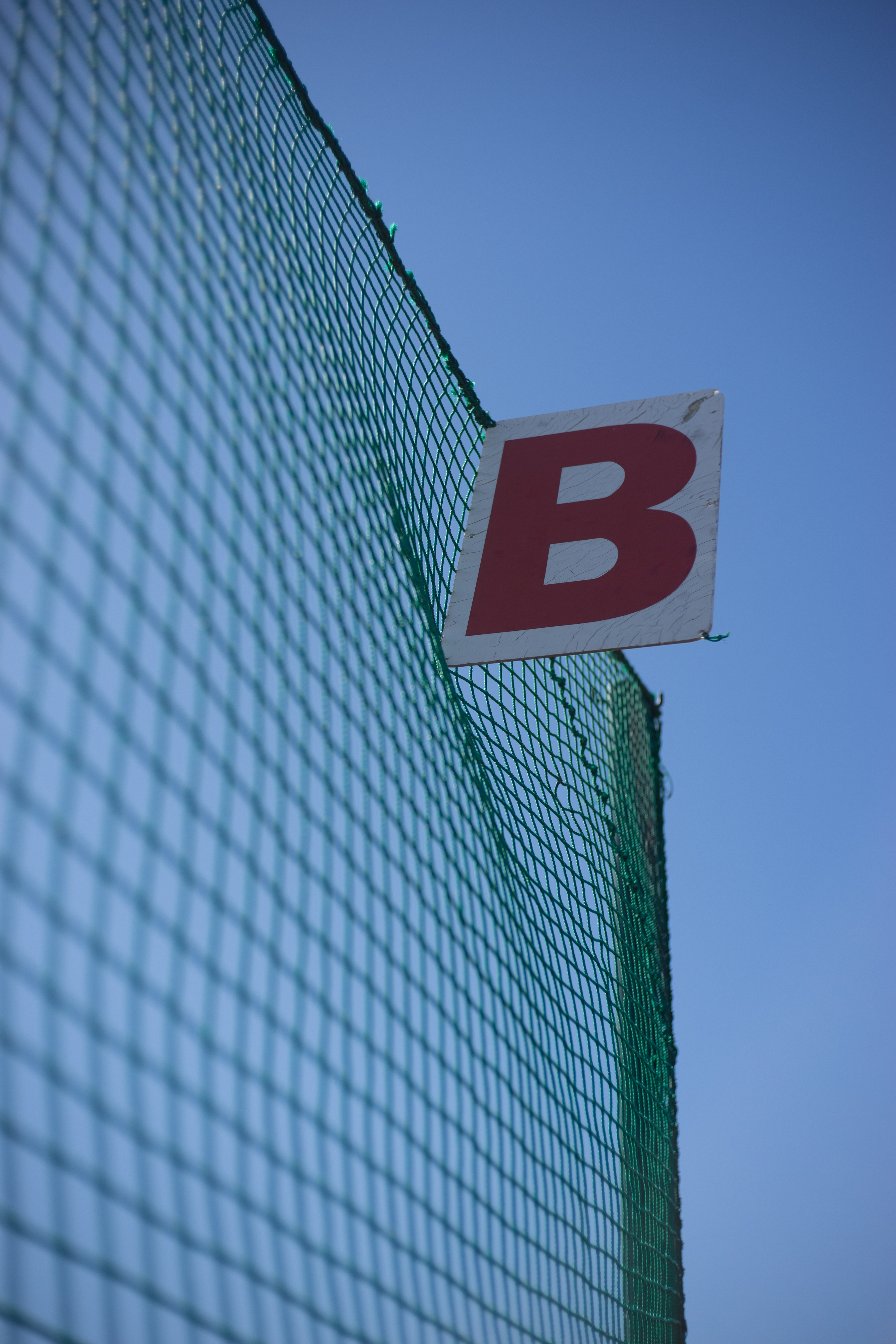 α7 / Xenon 50mm F2.3 / 6,000×4,000 / 1/3,200秒 / F2.8 / +0.7EV / ISO100 / WB:オート / 50mm