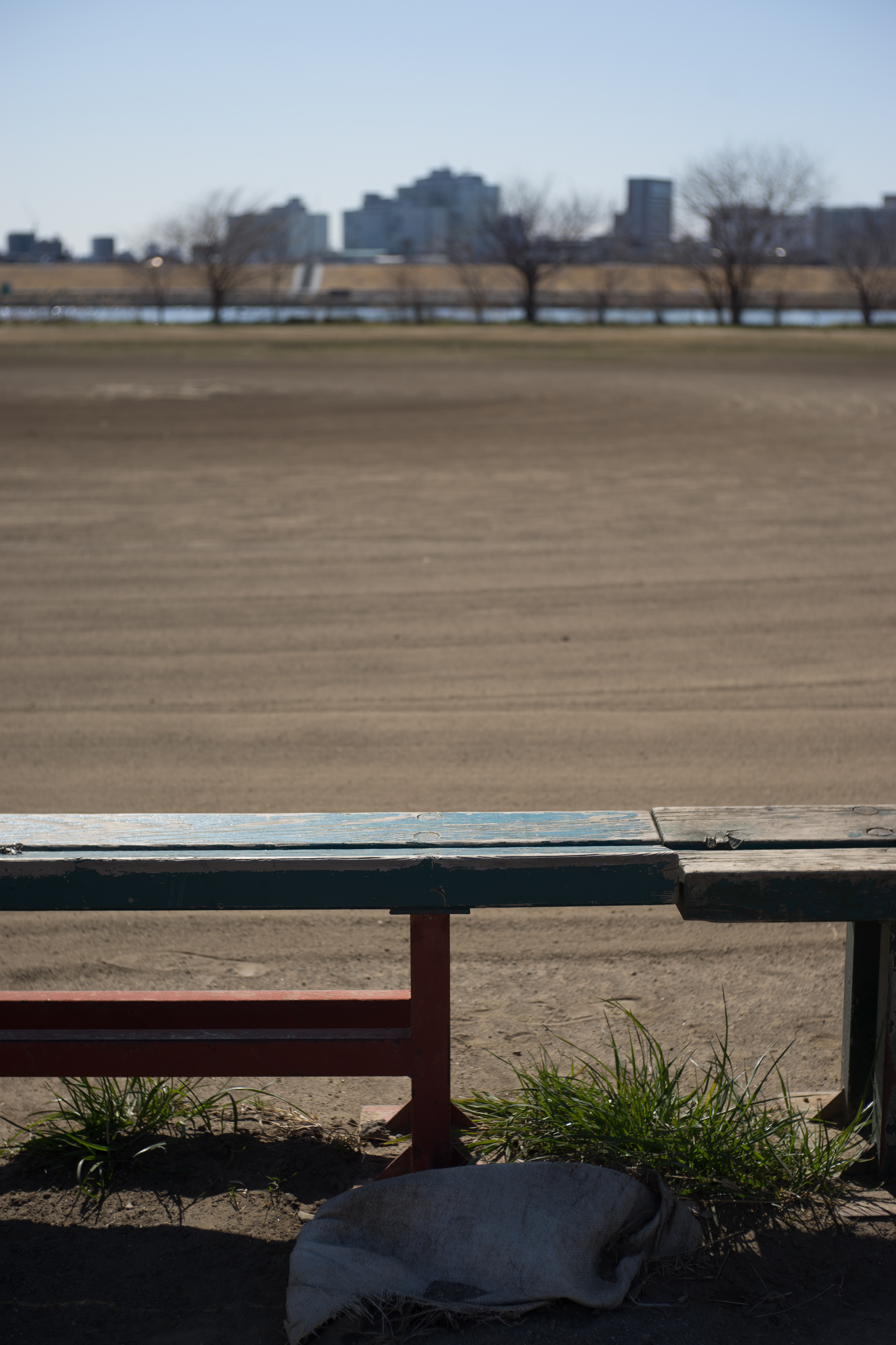 α7 / Xenon 50mm F2.3 / 6,000×4,000 / 1/2,000秒 / F4 / 0EV / ISO100 / WB:オート / 50mm