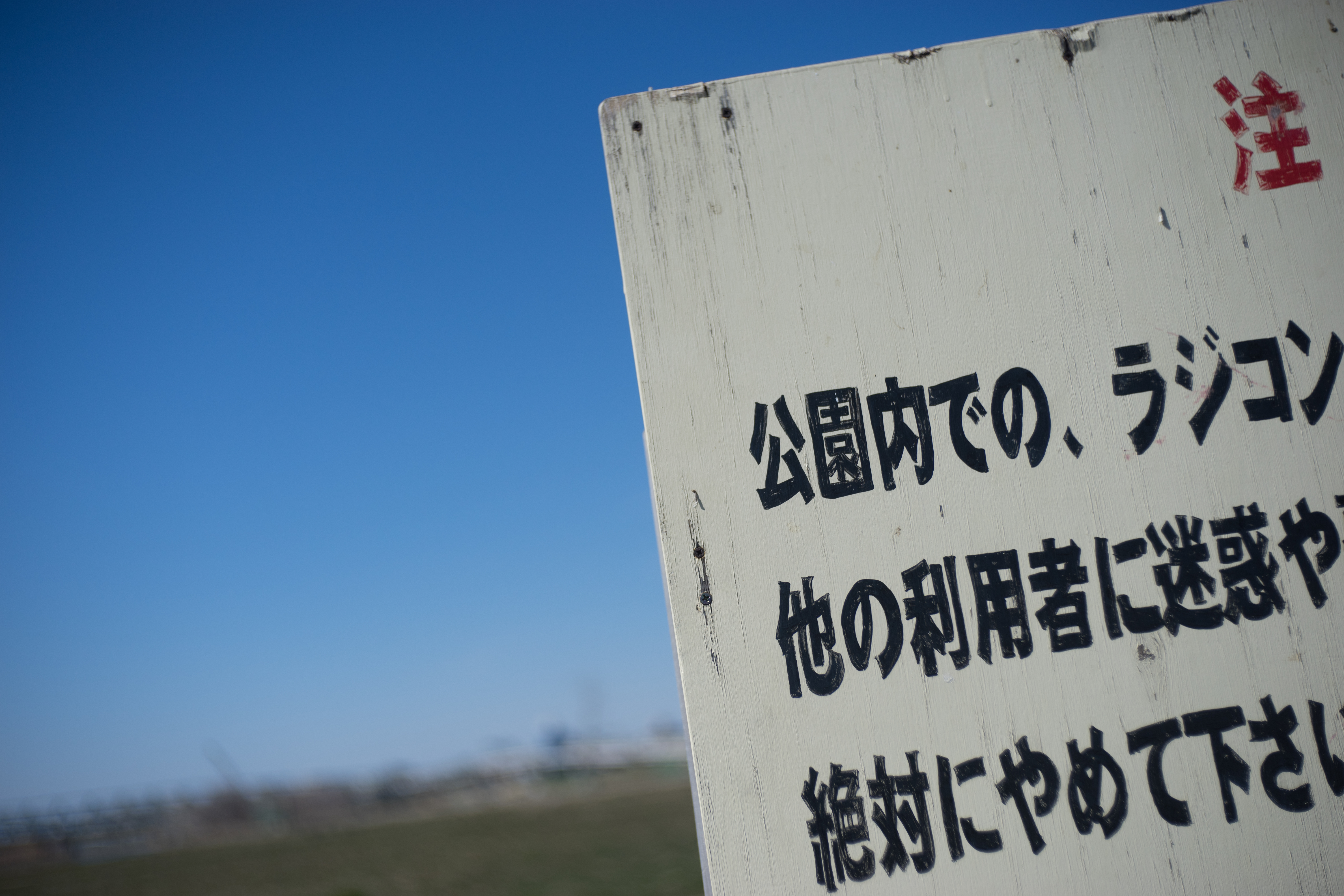 α7 / Xenon 50mm F2.3 / 6,000×4,000 / 1/5,000秒 / F2.8 / +0.7EV / ISO100 / WB:オート / 50mm