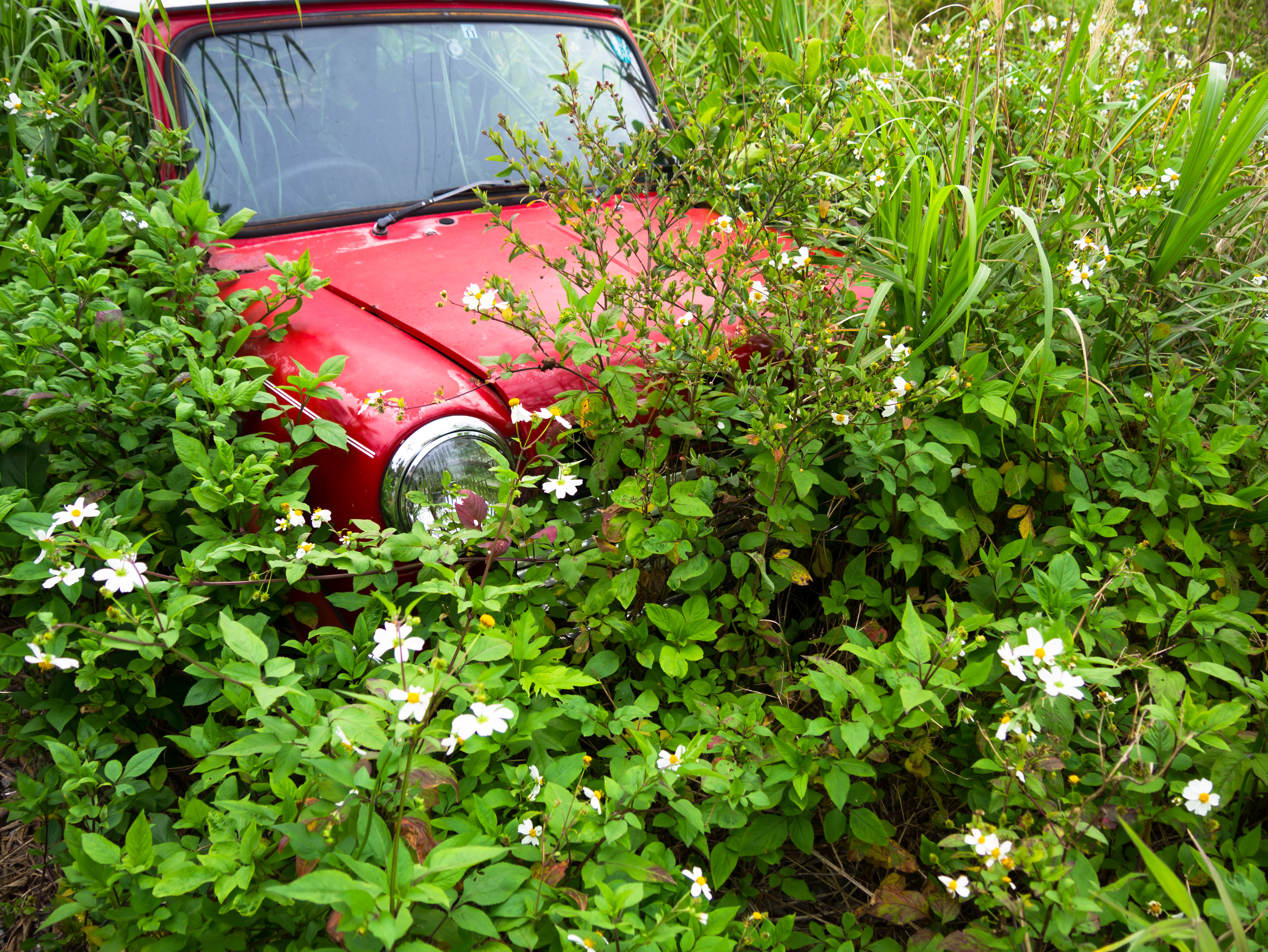 社会問題になっていて、褒められたことではないが、不法投棄された廃車が多いのは沖縄の特徴。廃墟や廃屋もあちこちで見られる。LUMIX DMC-GX7　LUMIX G VARIO 14-140mm/F3.5-5.6 ASPH./POWER O.I.S.　F8　1/60　±0EV　ISO320　WB:オート　14mm