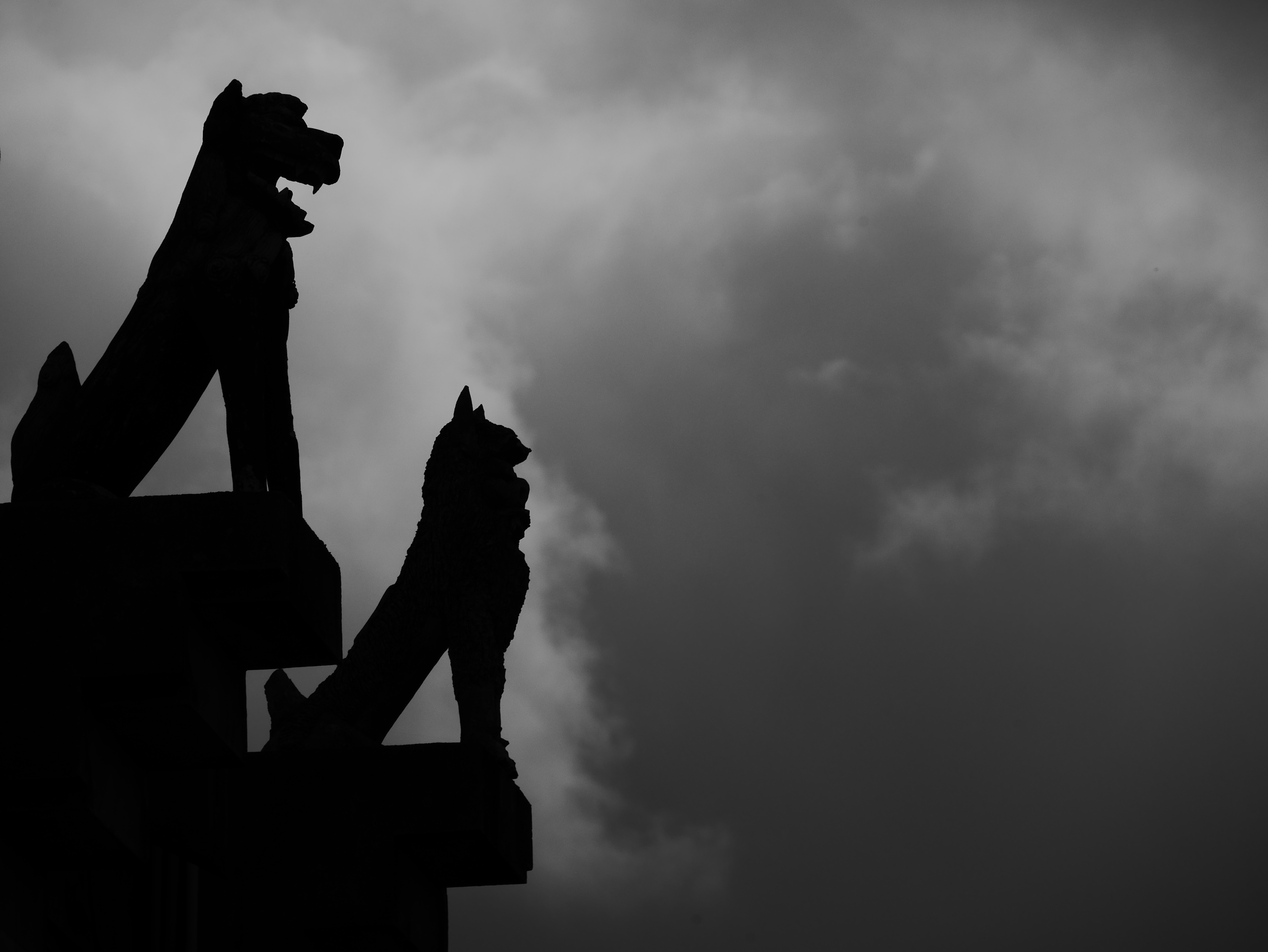 硬調なモノクロ表現が得られる「ダイナミックモノクローム」で撮影。カラーで撮ってRAW現像の際にモノクロ化することも可能だが、モノクロのライブビューを見ながら撮影したほうが、より効果的なモノクロ写真が撮りやすい。LUMIX DMC-GX7　LUMIX G VARIO 14-140mm/F3.5-5.6 ASPH./POWER O.I.S.　F8　1/1,300　-0.7EV　ISO200　140mm