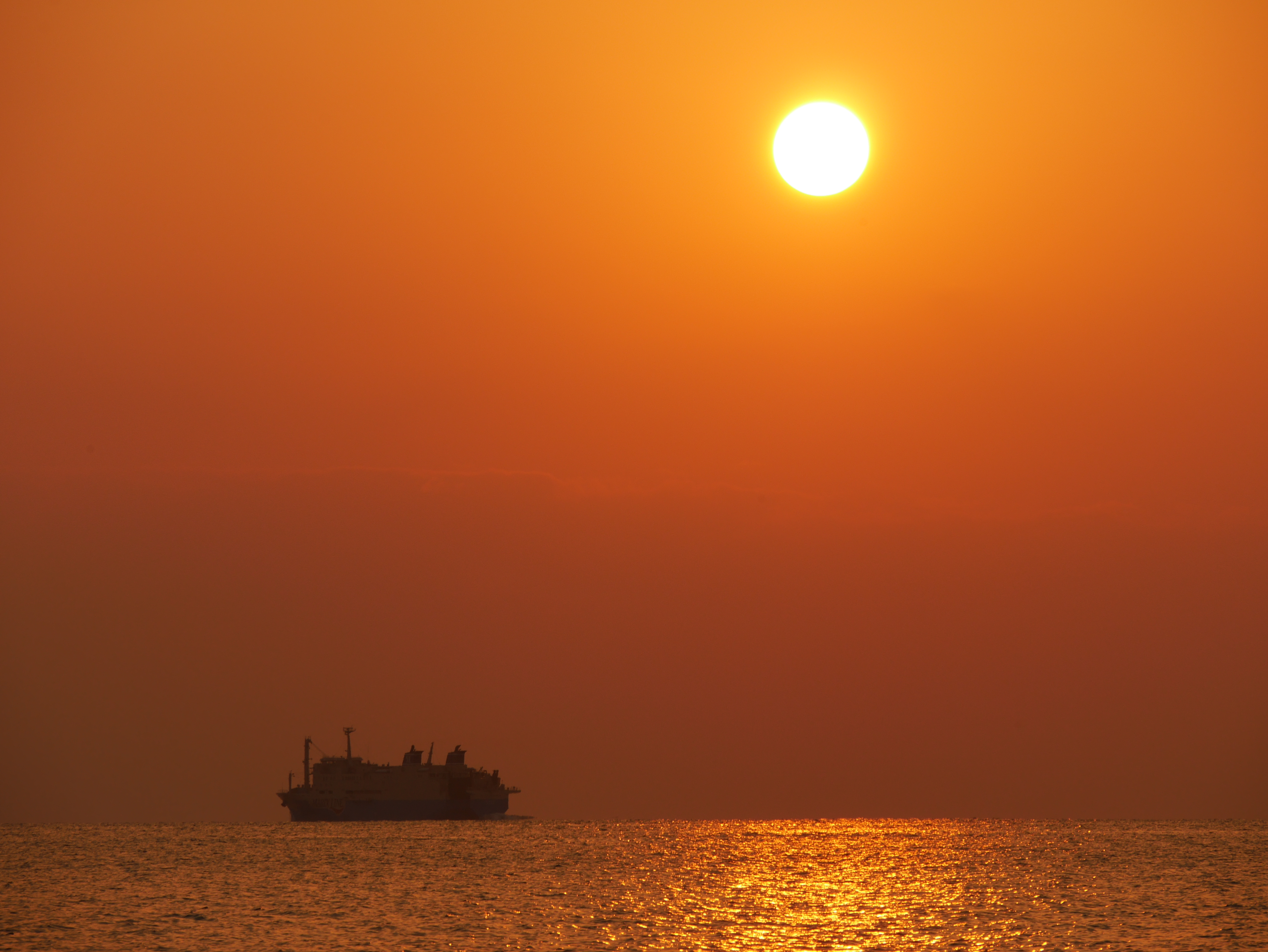 ズームの140mm側を使い、ホワイトバランスを日陰にセットしてオレンジ色を強調。ビューファインダーを見ながらAFエリアを動かせるタッチパッドAFが役立った。LUMIX DMC-GX7　LUMIX G VARIO 14-140mm/F3.5-5.6 ASPH./POWER O.I.S.　F10　1/500　±0EV　ISO200　WB:日陰　140mm