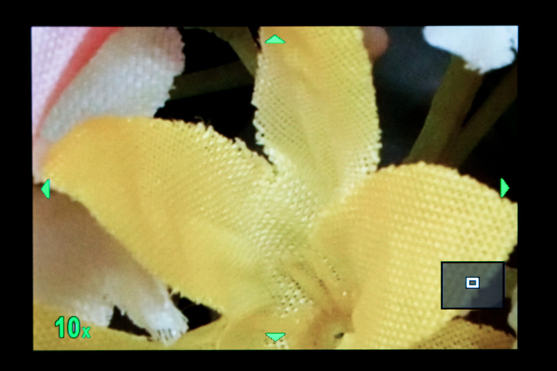 ライブビューの拡大表示を使えば正確なピント合わせができる。