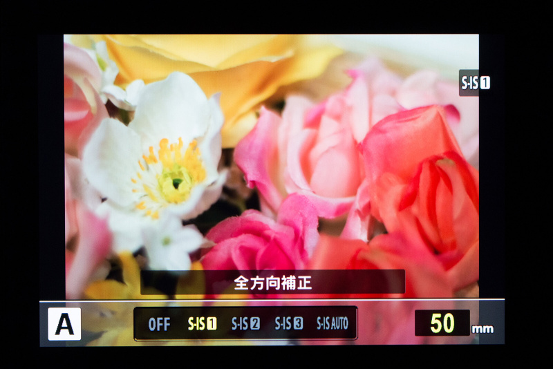 銀塩時代のズイコーレンズでもボディ内手ブレ補正機能を利用できる。