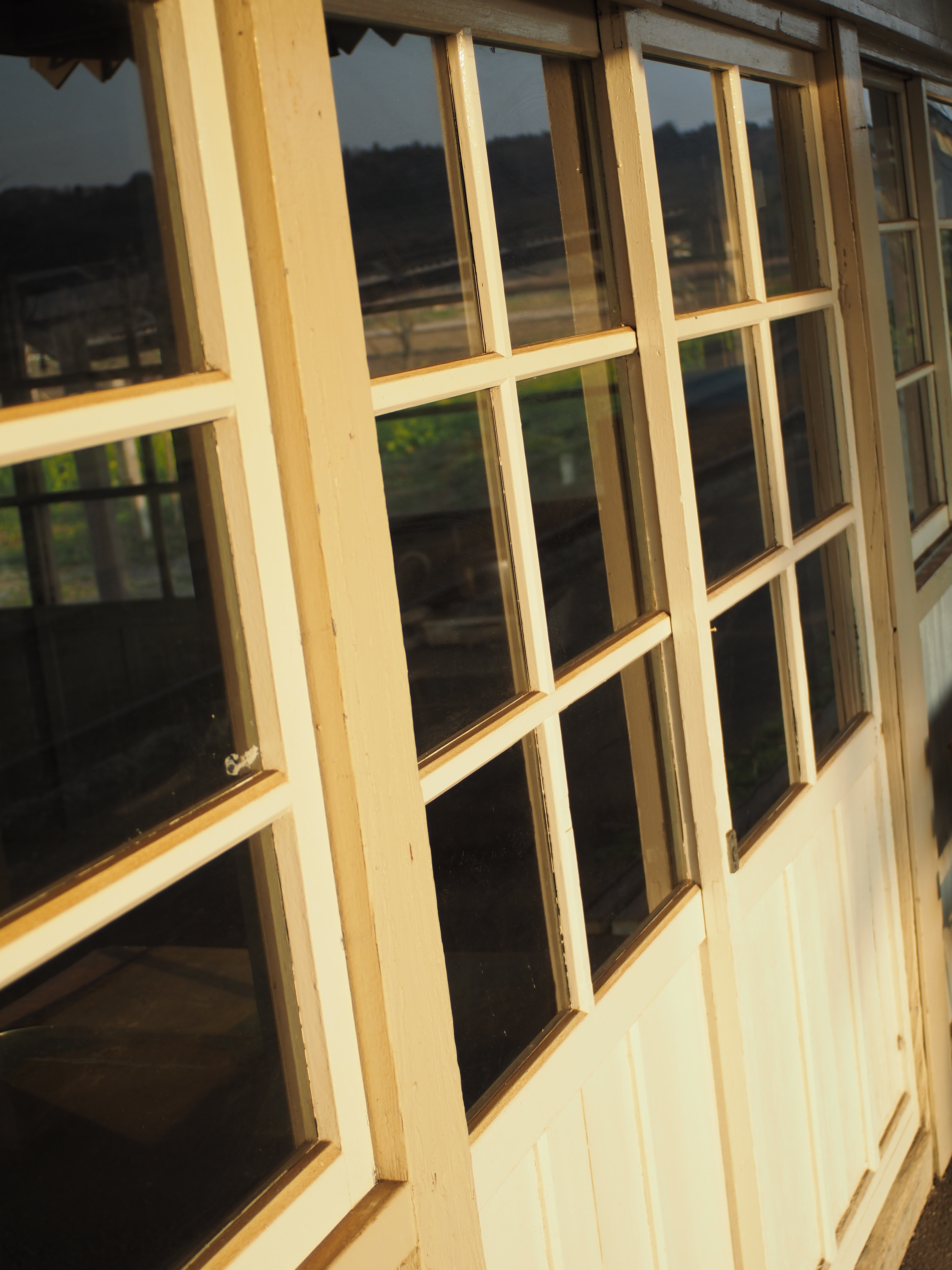 1/800秒 / F3.5 / +0.3EV / ISO200 / 絞り優先AE