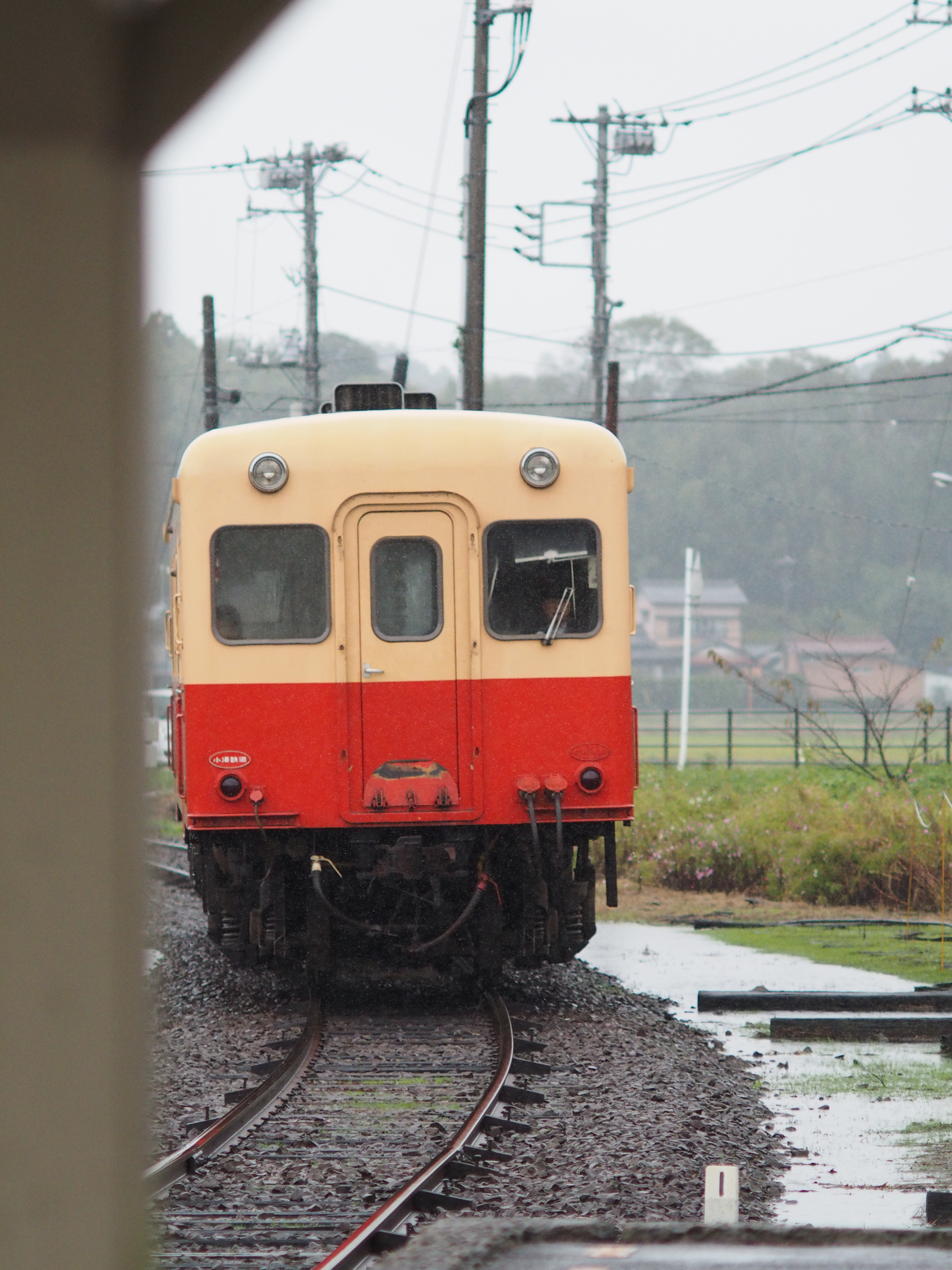 1/4,000秒 / F3.5 / +0.7EV / ISO1600 / 絞り優先AE