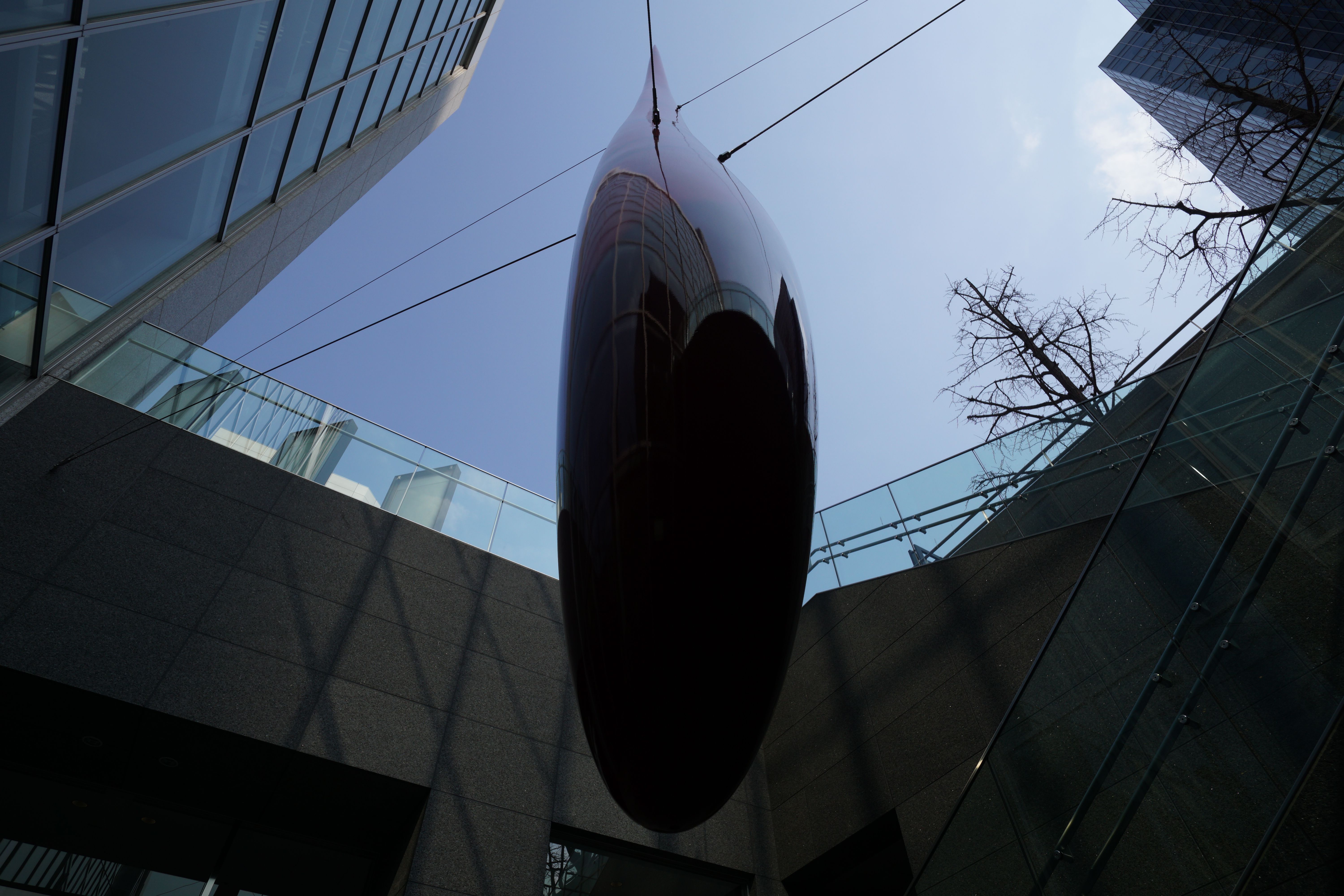 可動式液晶モニターなので、ローアングル撮影は得意。ただし、上下方向しか動かないので縦位置が不便なのはたまにきずだ。ISO100 / F7 / 1/500秒