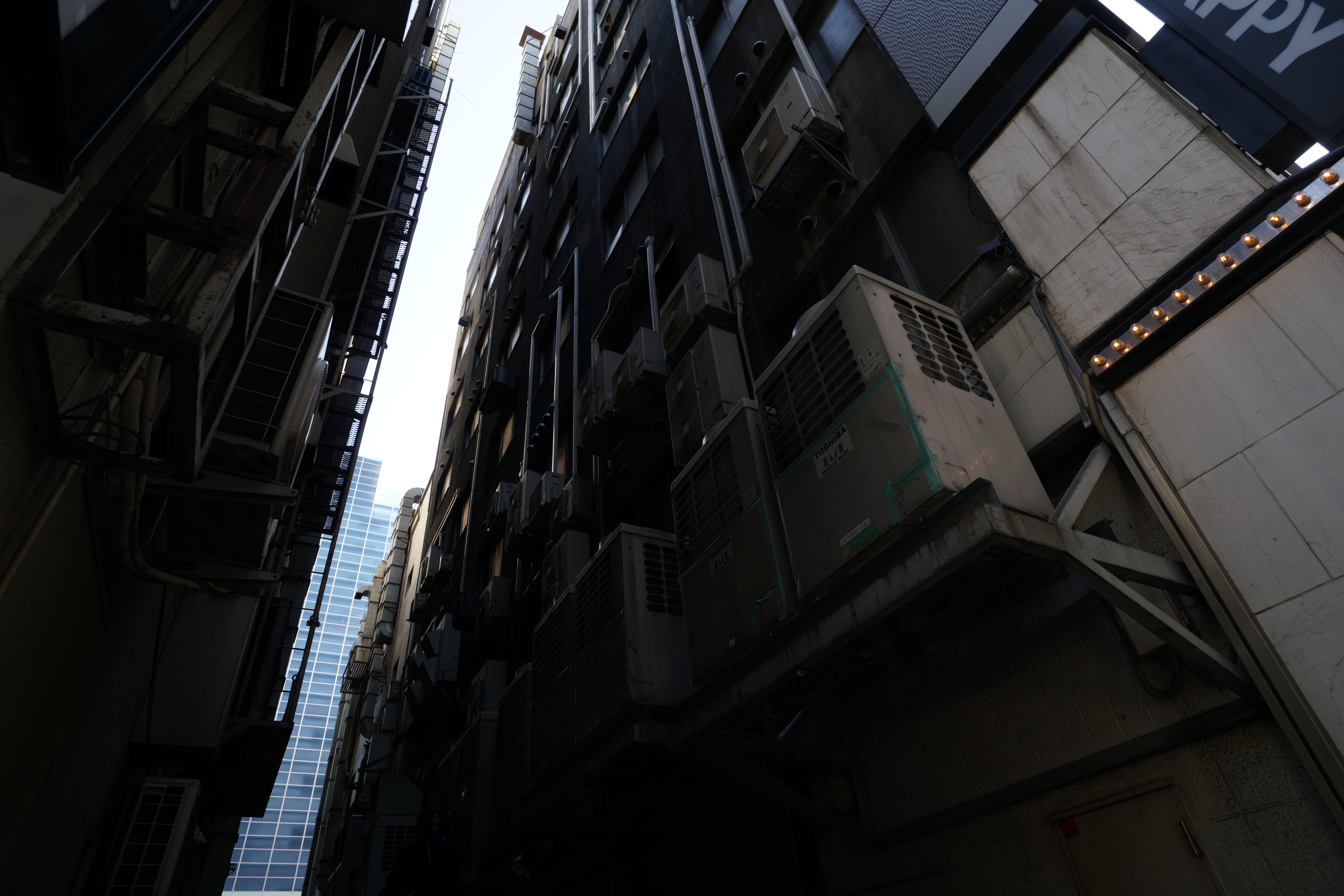 四隅までぴしっとシャープにしたときはF8まで絞ったほうがいいが、F5.6あたりでもおおむね不満のない画質になってくれる。ISO100 / F5.6 / 1/80秒