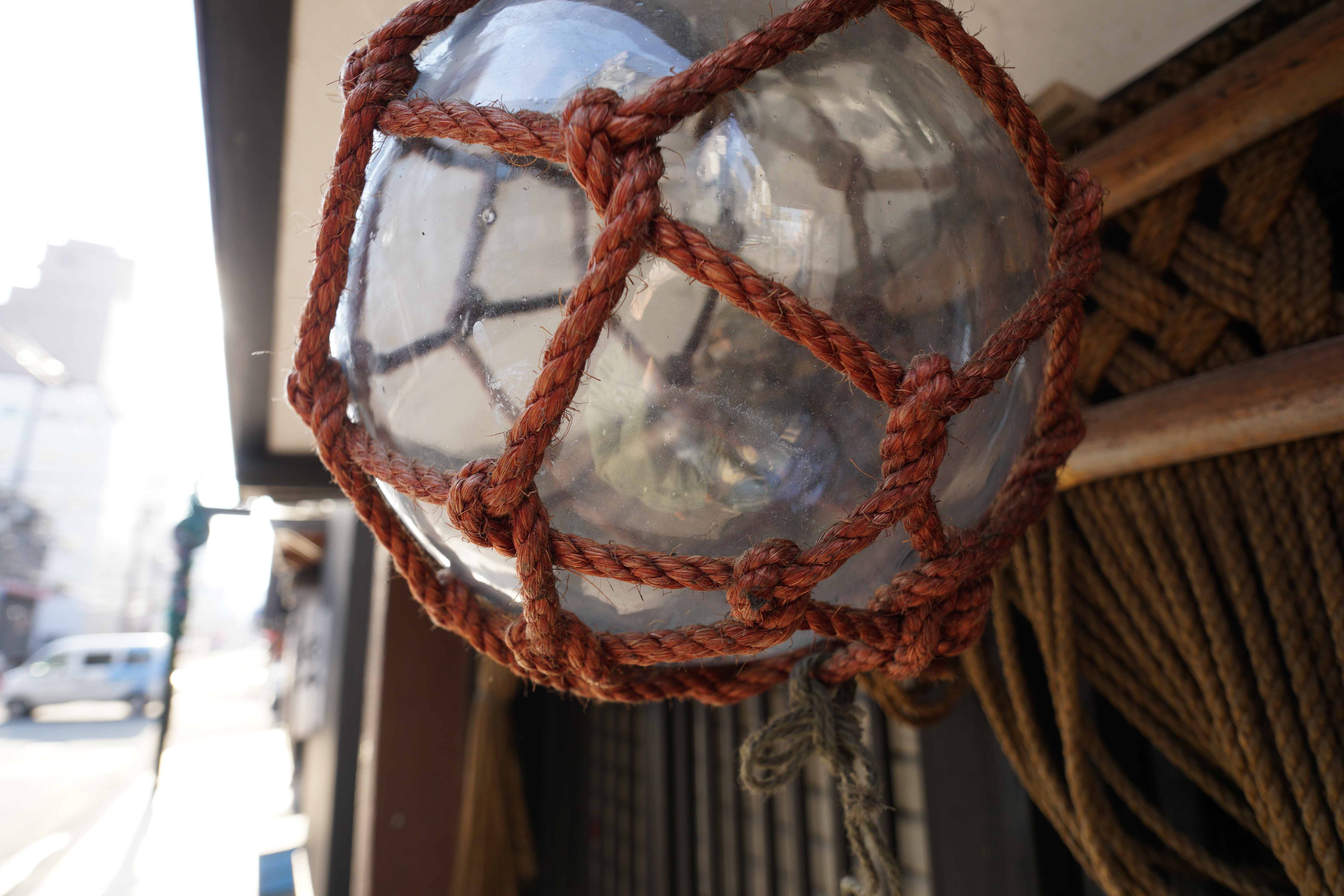 最短撮影距離は0.18m。寄ってもシャープだ。ボケも素直で気持ちがいい。ISO200 / F3.5 / 1/200秒