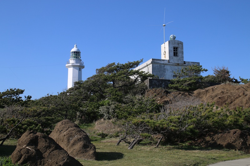 もちろん灯台も。低く横に伸びた松の枝が、遮るもののない岬の厳しい環境を物語る