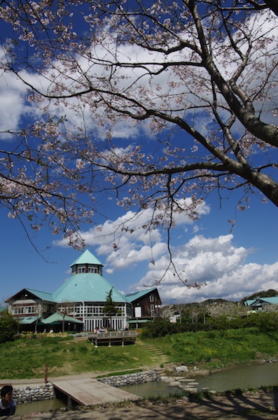 「道の駅とみうら枇杷倶楽部」の建物。サクラ並木もあり花見を楽しむことも出来るが、行った時期はすでにピークを過ぎていた。それでも、周辺は親水整備がされて自然と触れ合うことができ、被写体は豊富だ