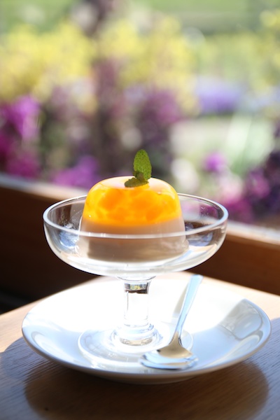 担当営業が注文したビワのムース＆ゼリー。南房総はビワの生産が盛んである。綺麗な色をしていたので窓の外の花壇と合わせて撮らせてもらった。甘党の担当営業いわく「驚くほど美味しい」とのこと。筆者も食べておけばよかった。