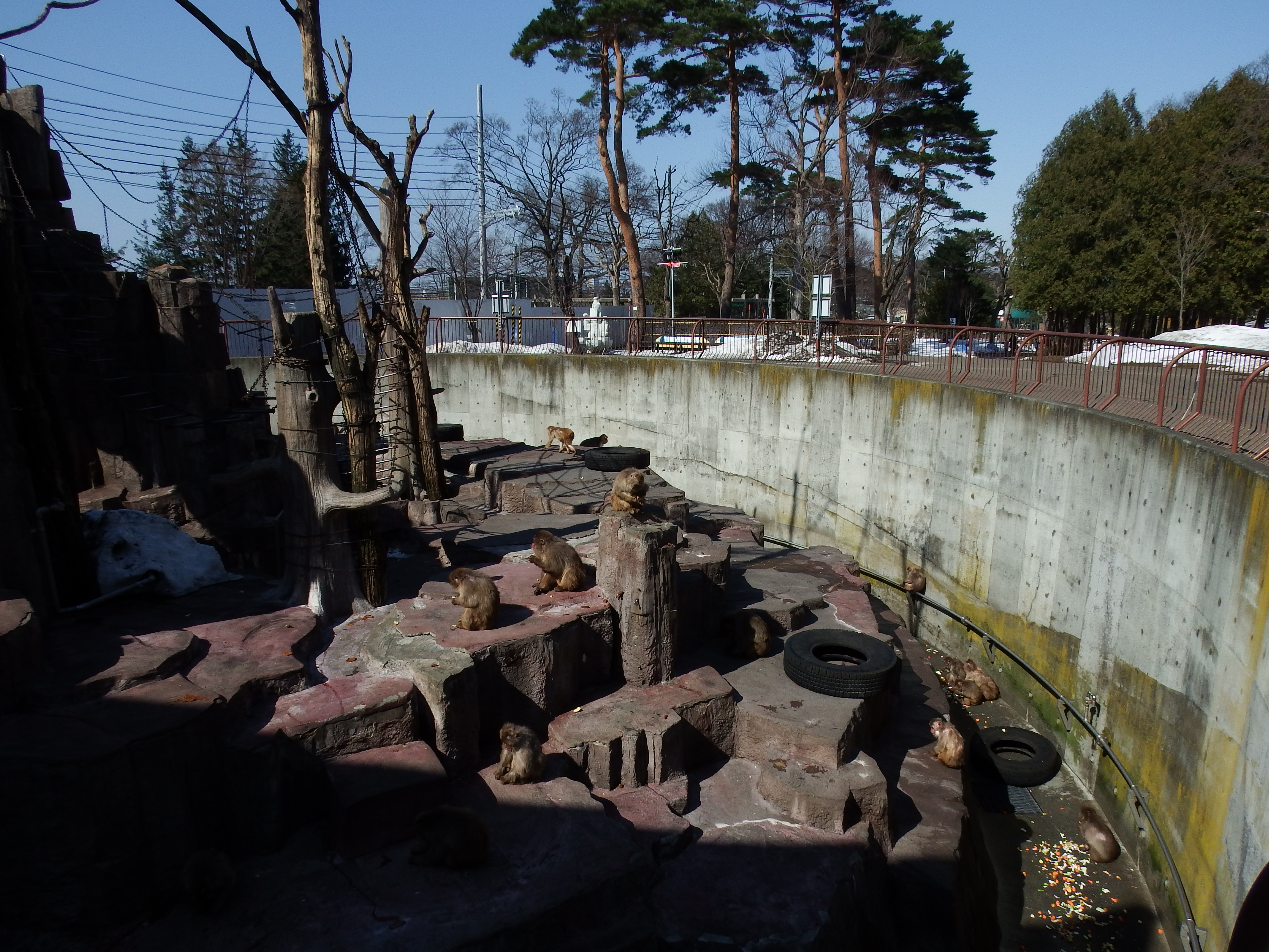 1.0倍（24mm相当）