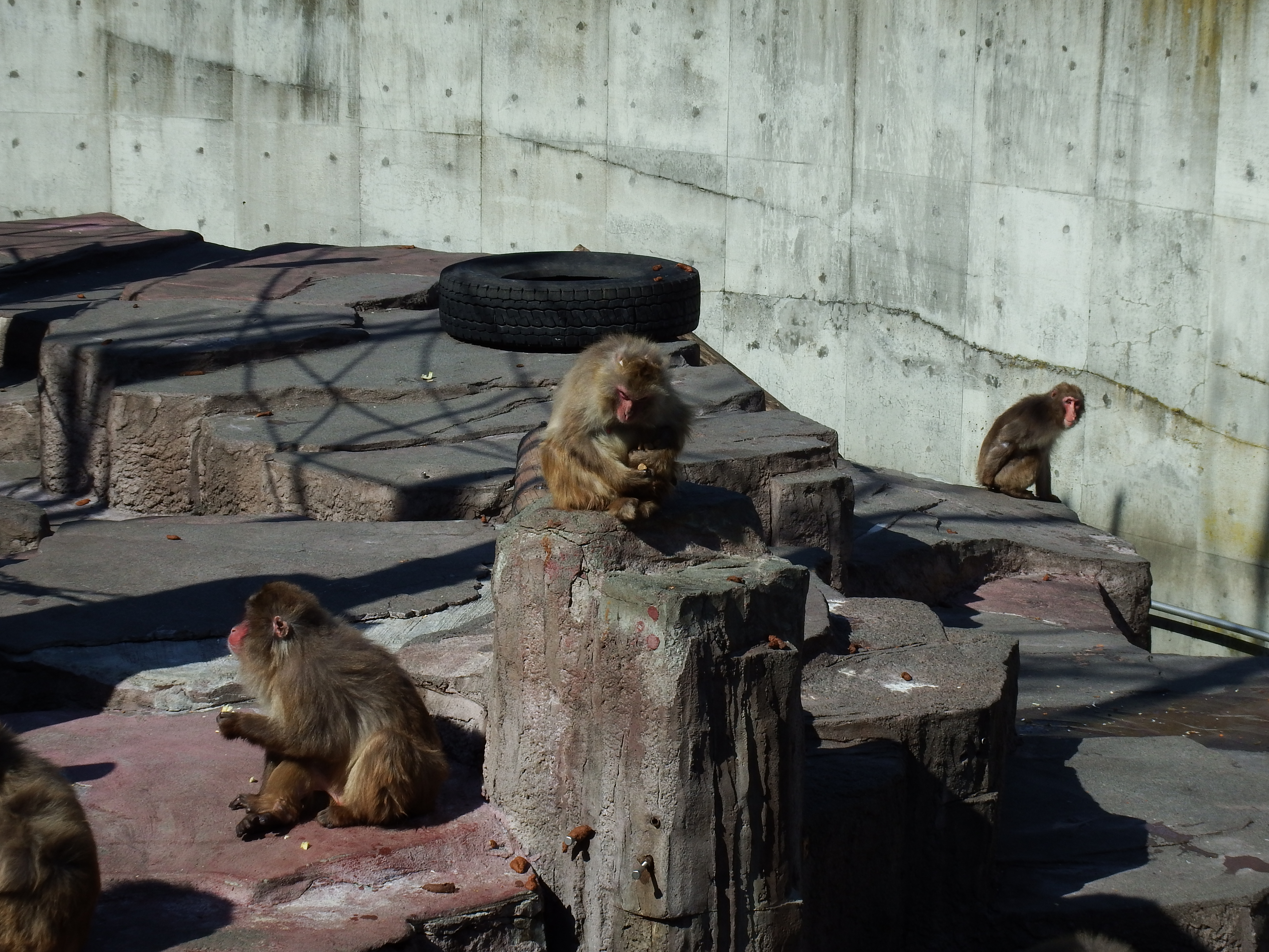 4.0倍（98mm相当）
