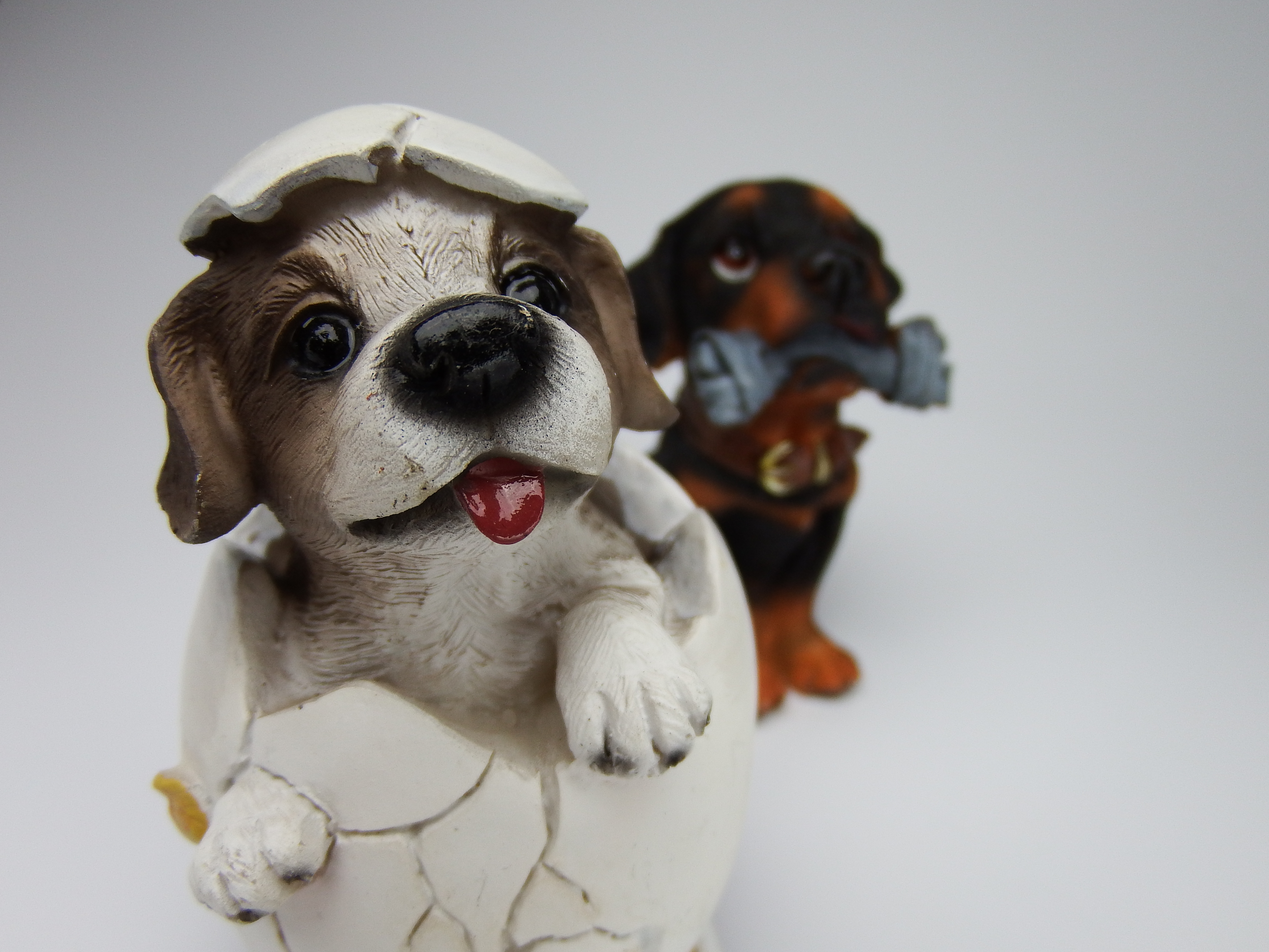 マクロモード：広角端