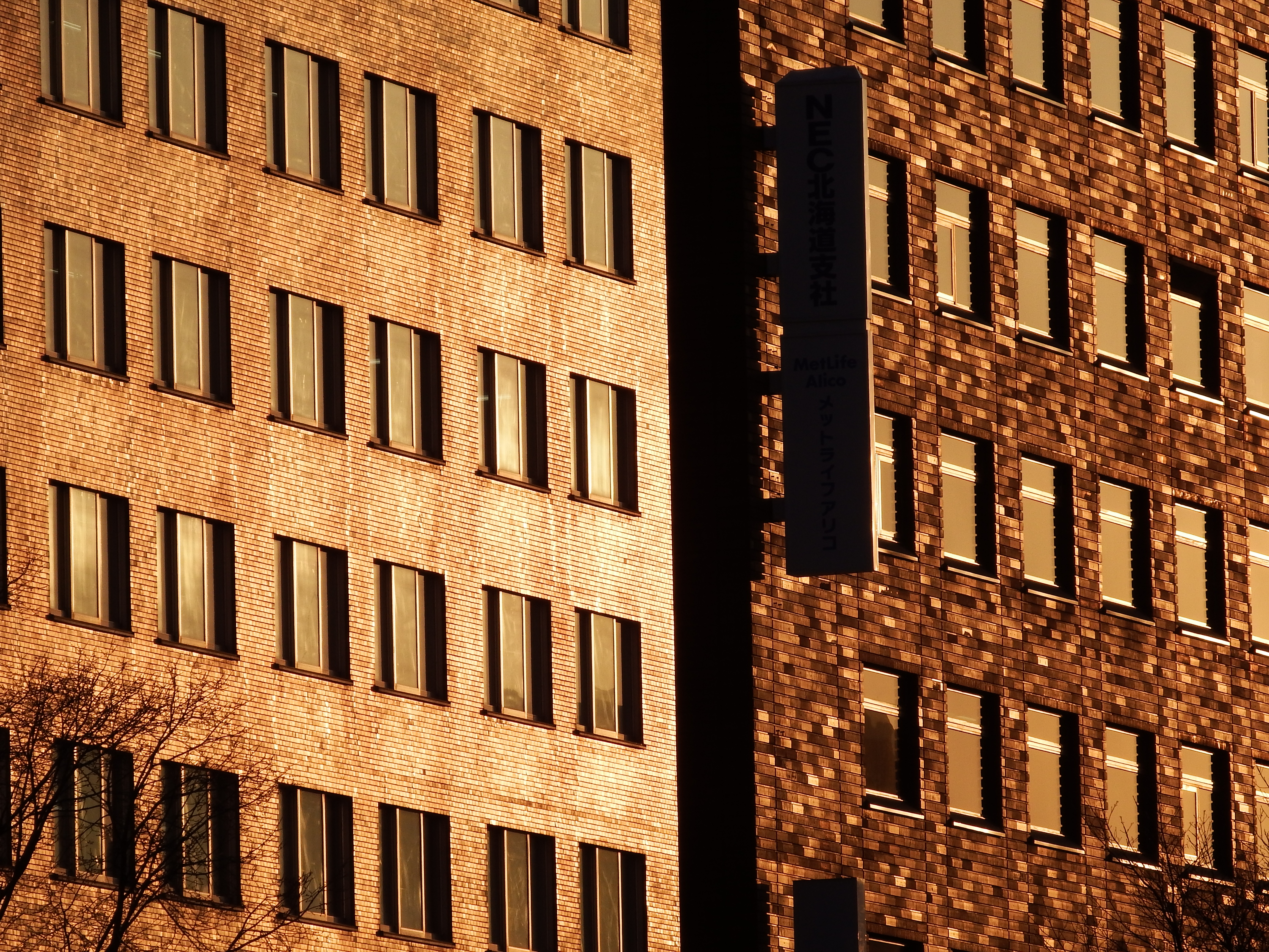 夕日を浴びたビルの外壁を400mm相当で。ISO100 / F6.4 / 1/640秒