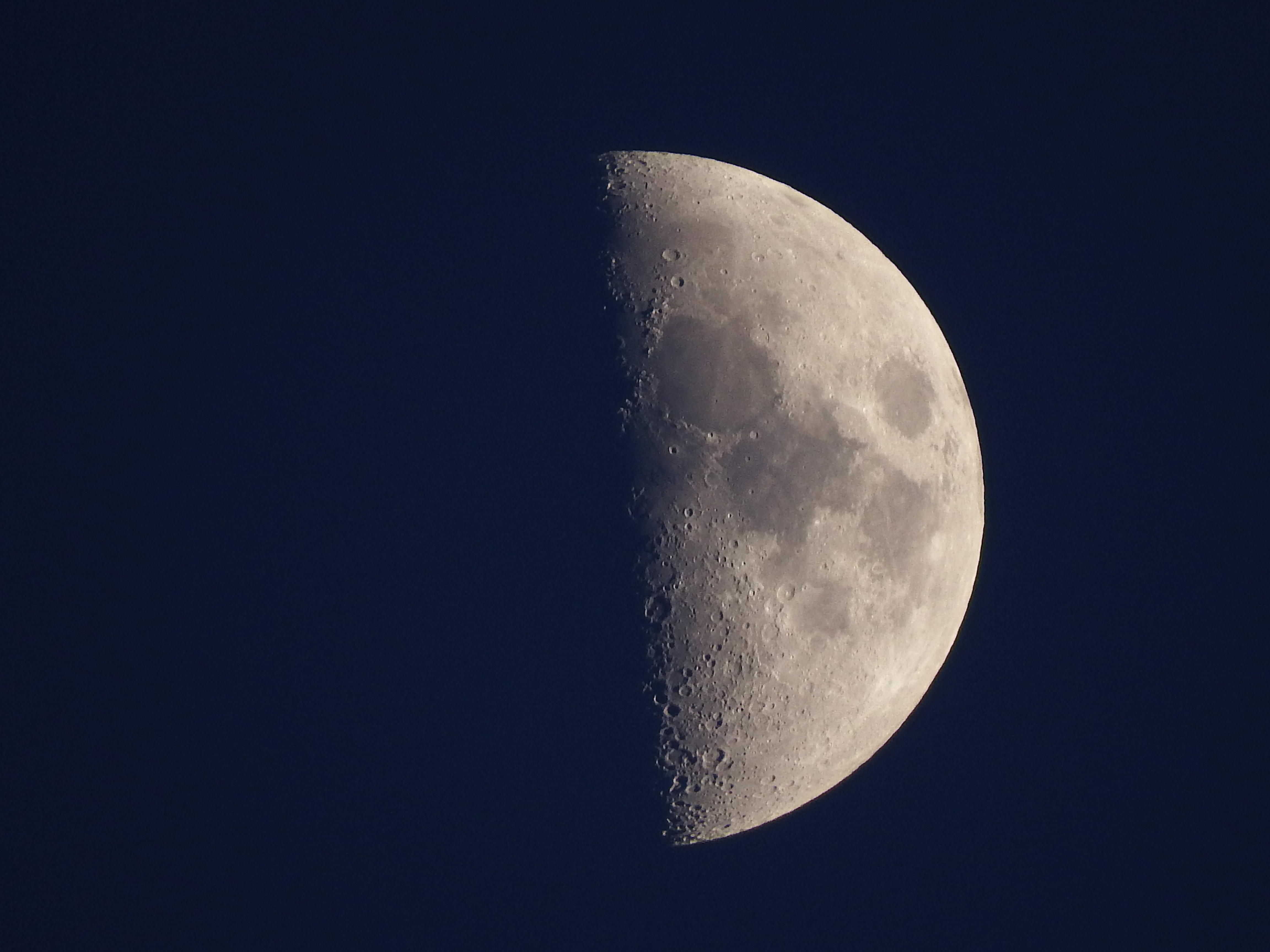 こちらは「超解像ズーム」をオンにして、2,400mm相当。画質は多少落ちるが、迫力は間違いなくアップする。ISO100 / F5.6 / 1/140秒