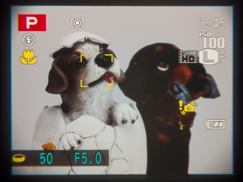 ファインダー内のようす。肉眼で見る分にはもっとクリアでシャープ。液晶のドットが目立つようなことはないし、ピントもちゃんと見える。