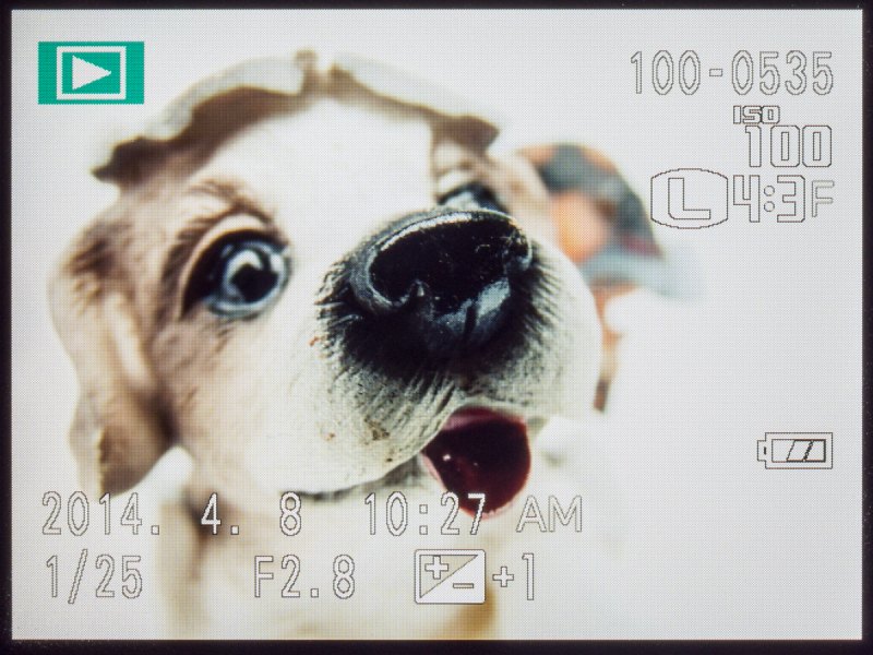 こちらは再生時の画面。ヒストグラムやさまざまな撮影情報が見られる再生情報表示も選べる。