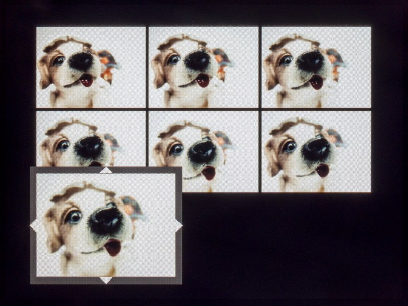 インデックス表示は、4コマ、9コマ、100コマが選べる。