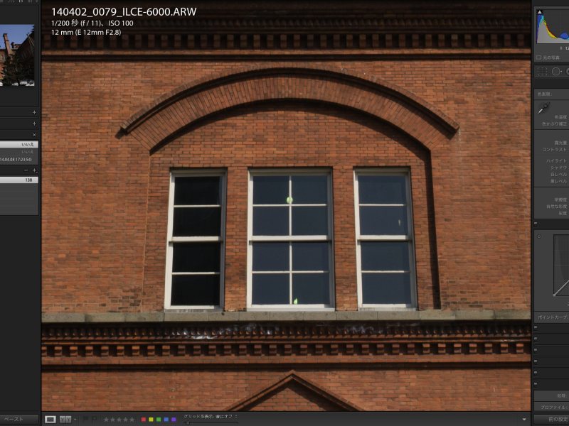 こちらはLightroom desktopでのピクセル等倍表示。解像度がずいぶん違うのが分かる。その分、iPadの容量を無駄食いしないのはいい点。