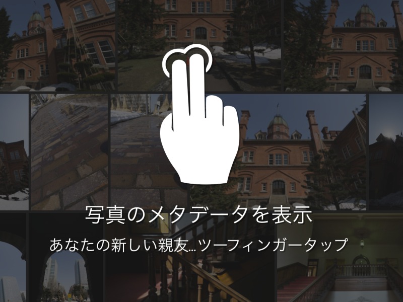 ヘルプオーバーレイの表示。ルーペ表示で2本指タップすると、メタデータのオンオフができる。親友になれるかどうかの判断は保留しておく。