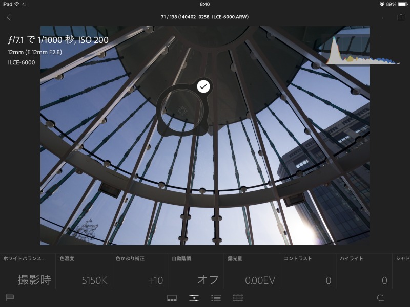 ターゲットの中心部の円内でとらえた部分がグレーになるようにホワイトバランスが設定される。