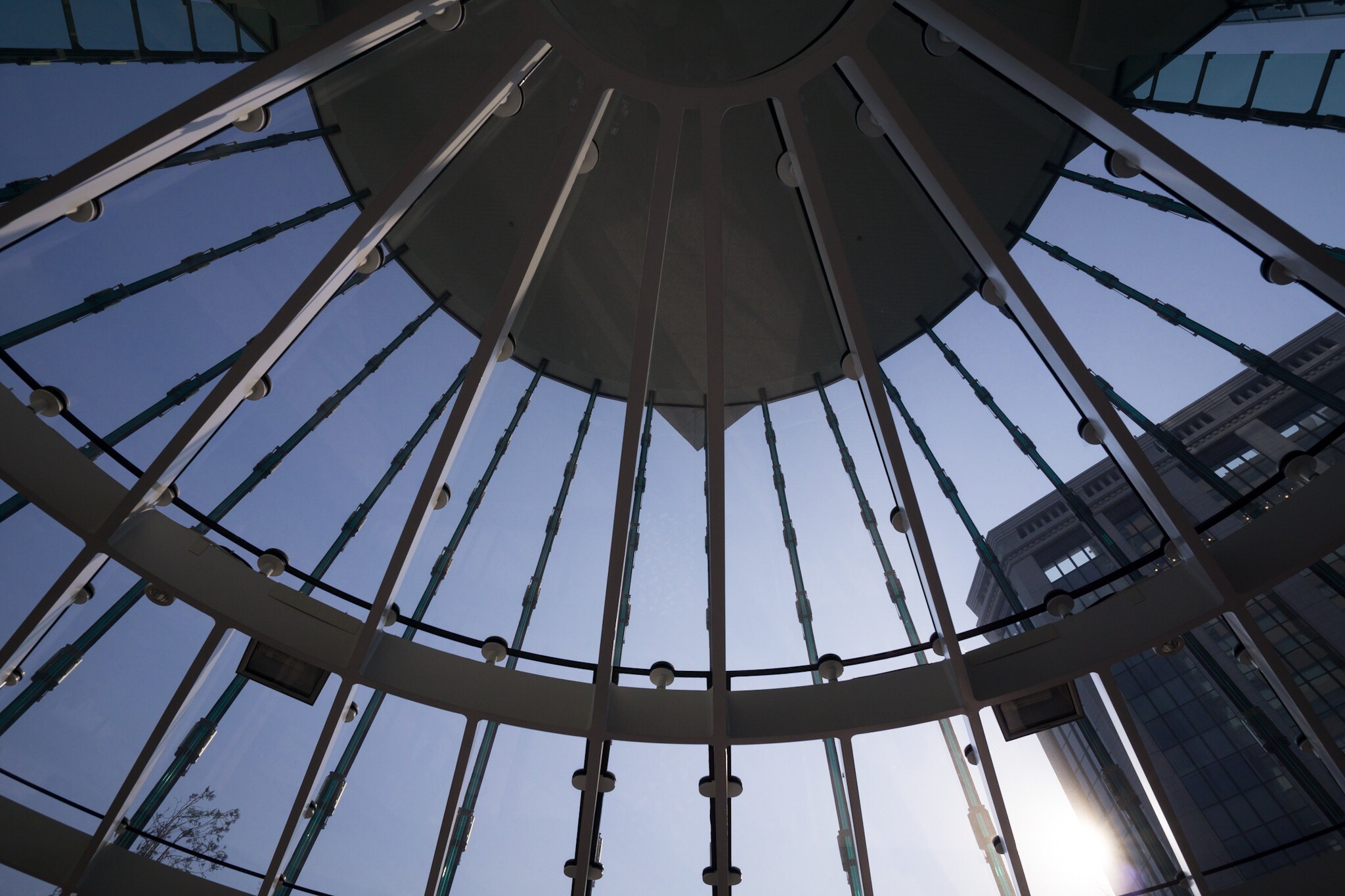 Lightroom mobileの共有から「画像を保存」したもの。画像は長辺が2,048ピクセルになるサイズに設定されるようだ（クリックで原寸表示）。