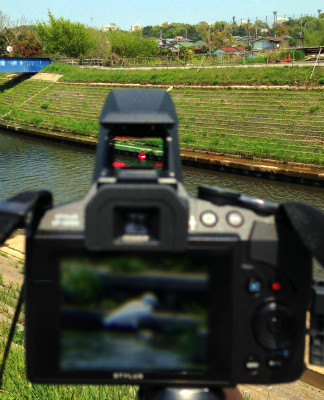 ドットサイトを使って撮影している状況を、別のカメラで写してみた。赤い照準を遠くの目標に重ね合わせるだけで、1,200mm相当の超望遠撮影でも、実に簡単に被写体を捉えることができる。照準はご覧のように日中でも見えにくくなることはなく、実用性は思った以上に高い。