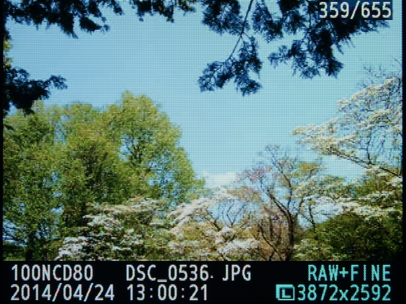 画像再生時の表示内容は、マルチセレクターもしくはサブコマンドダイヤルの操作で、標準表示→撮影情報1→撮影情報2→ハイライト表示→RGBヒストグラム表示→標準表示、と切り換わっていく（これは標準表示と撮影情報2）。拡大表示の倍率は、画像サイズLの場合で約25倍。う〜ん、約23万画素の液晶モニターの拡大表示（細部描写）はちょっとキツイなぁ…。ちなみに、画面右下の全体縮小表示は、拡大率変更やスクロール操作の数秒後に消える。