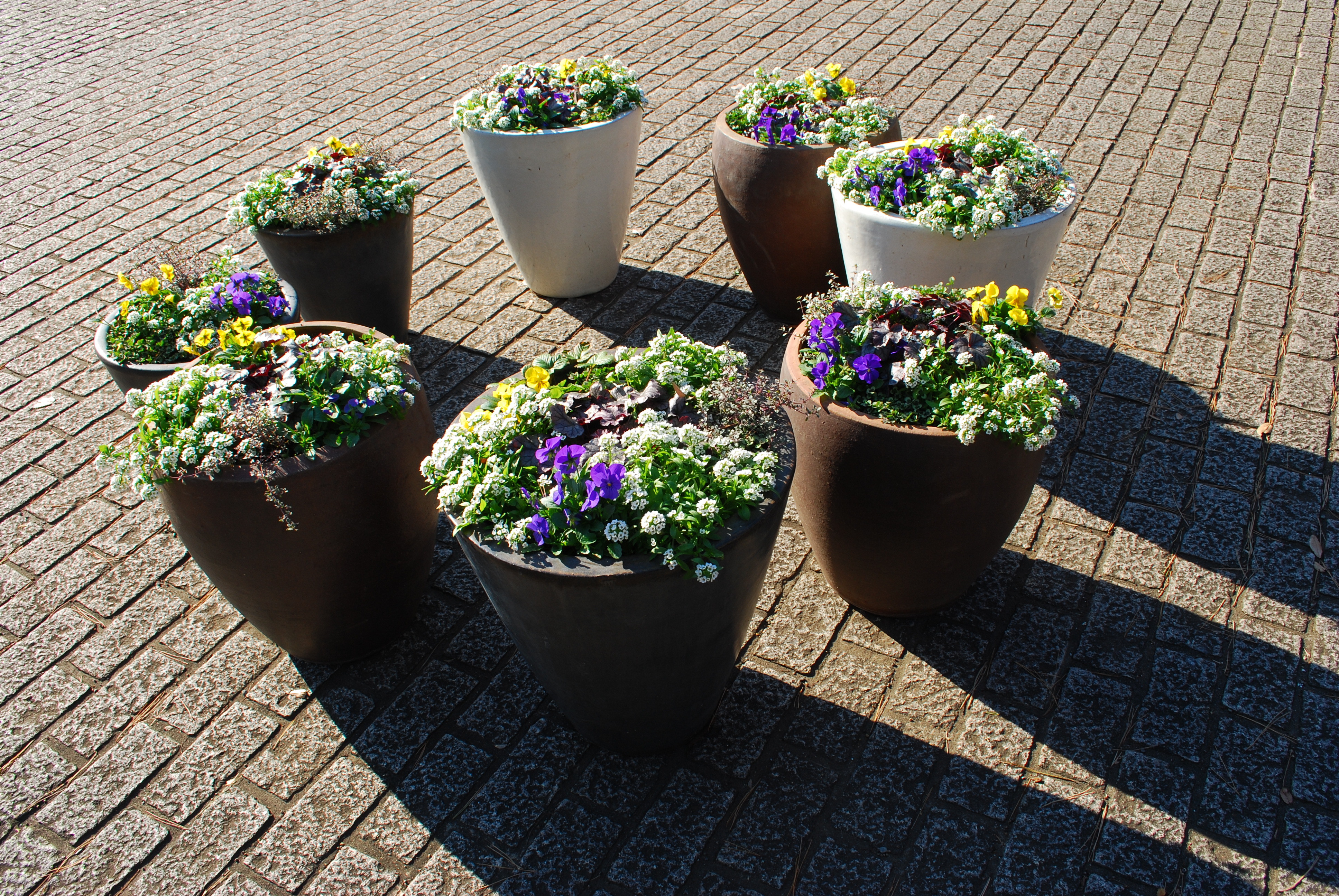 ISO100 / F11 / 1/60秒 / 27mm相当