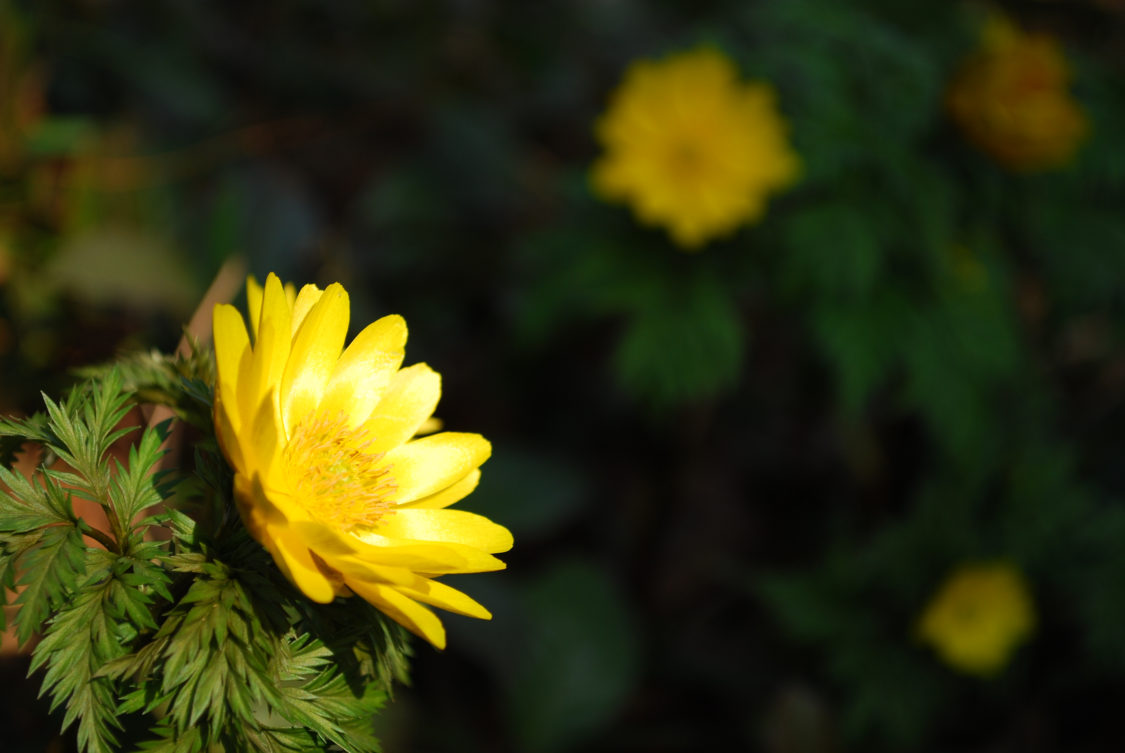 ISO100 / F5.6 / 1/125秒 / 82mm相当