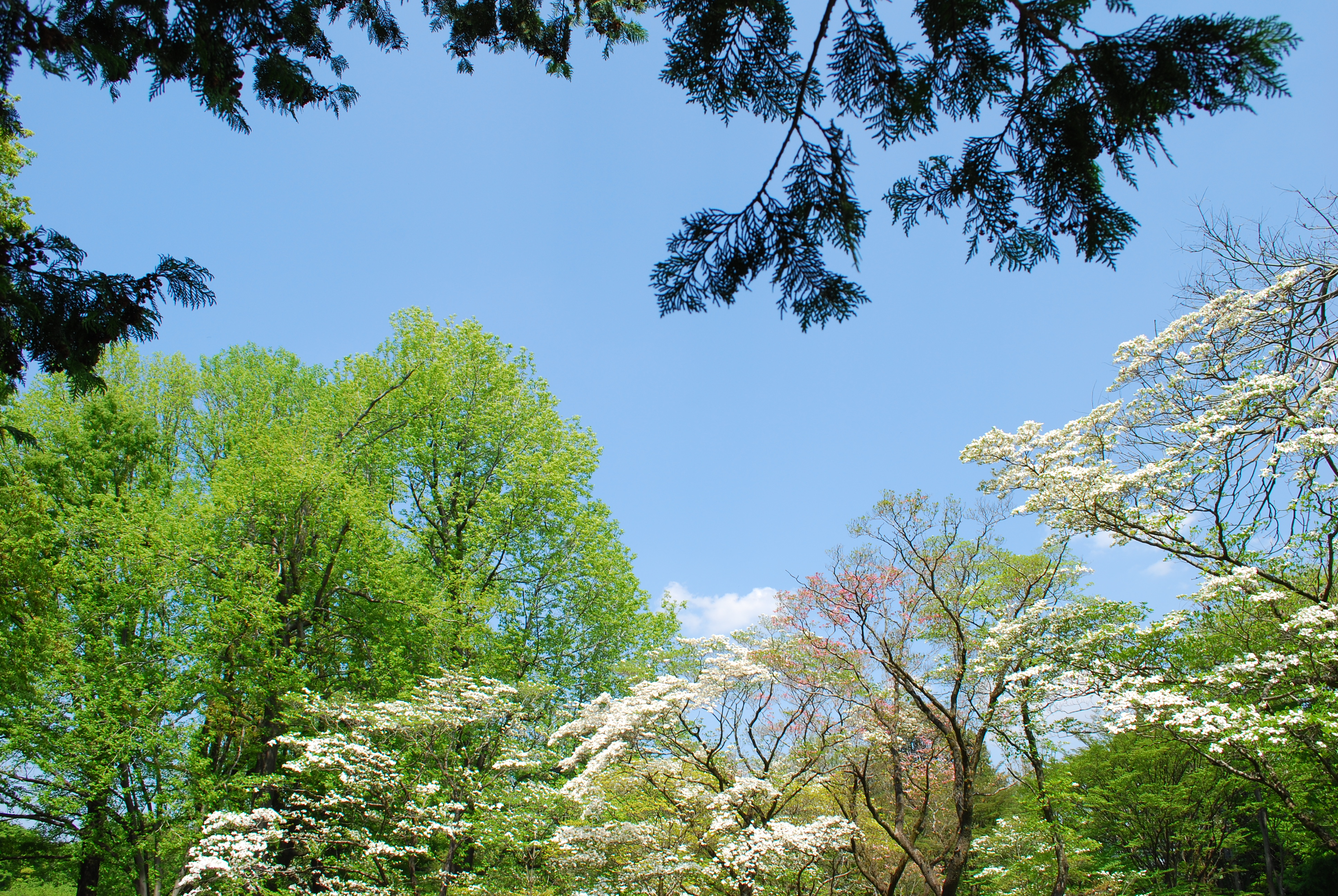 ISO100 / F11 / 1/100秒 / 27mm相当