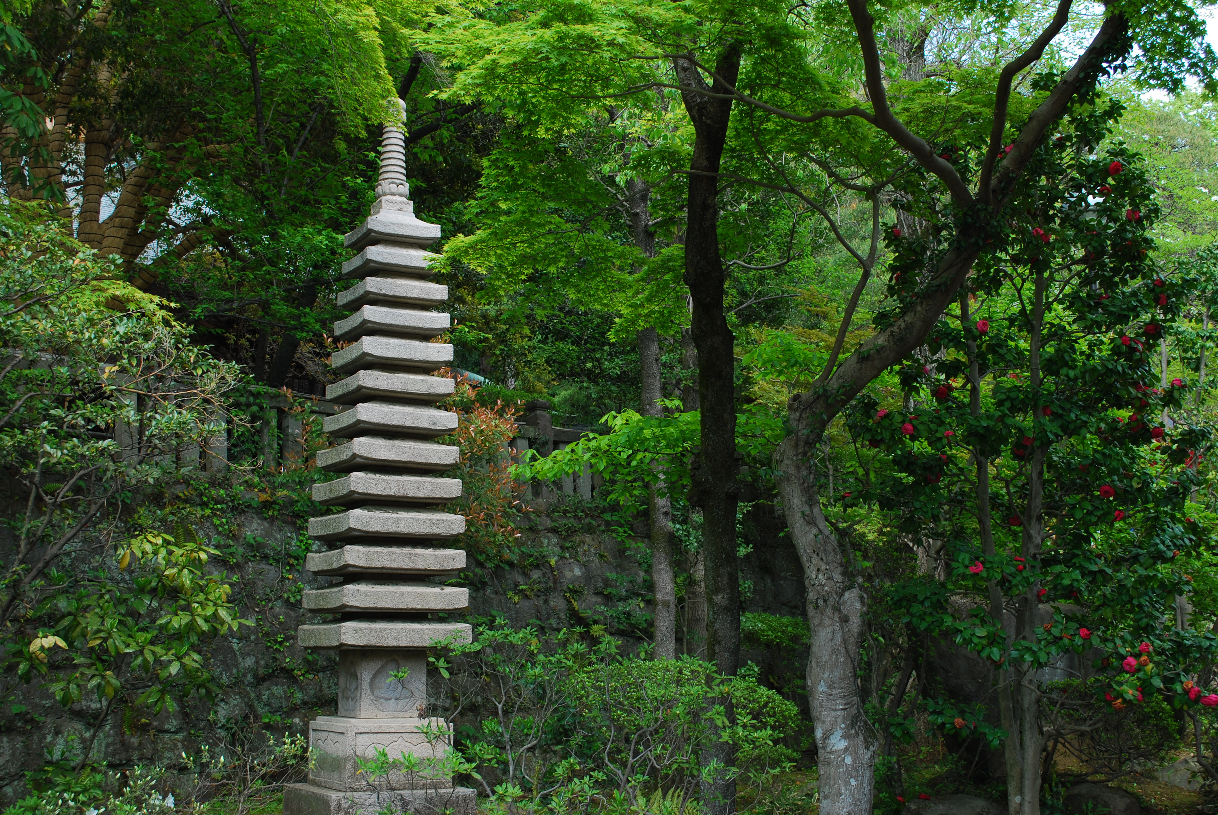 ISO100 / F8 / 1/40秒 / 43mm相当