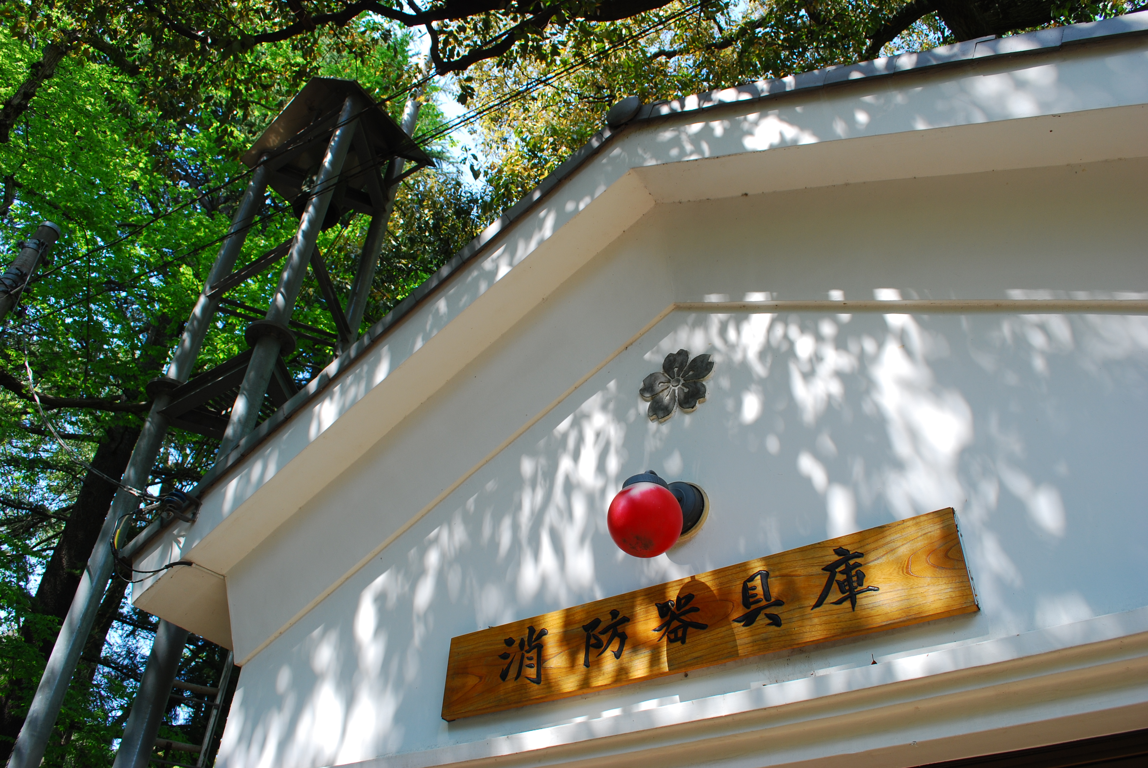 ISO100 / F8 / 1/60秒 / 27mm相当