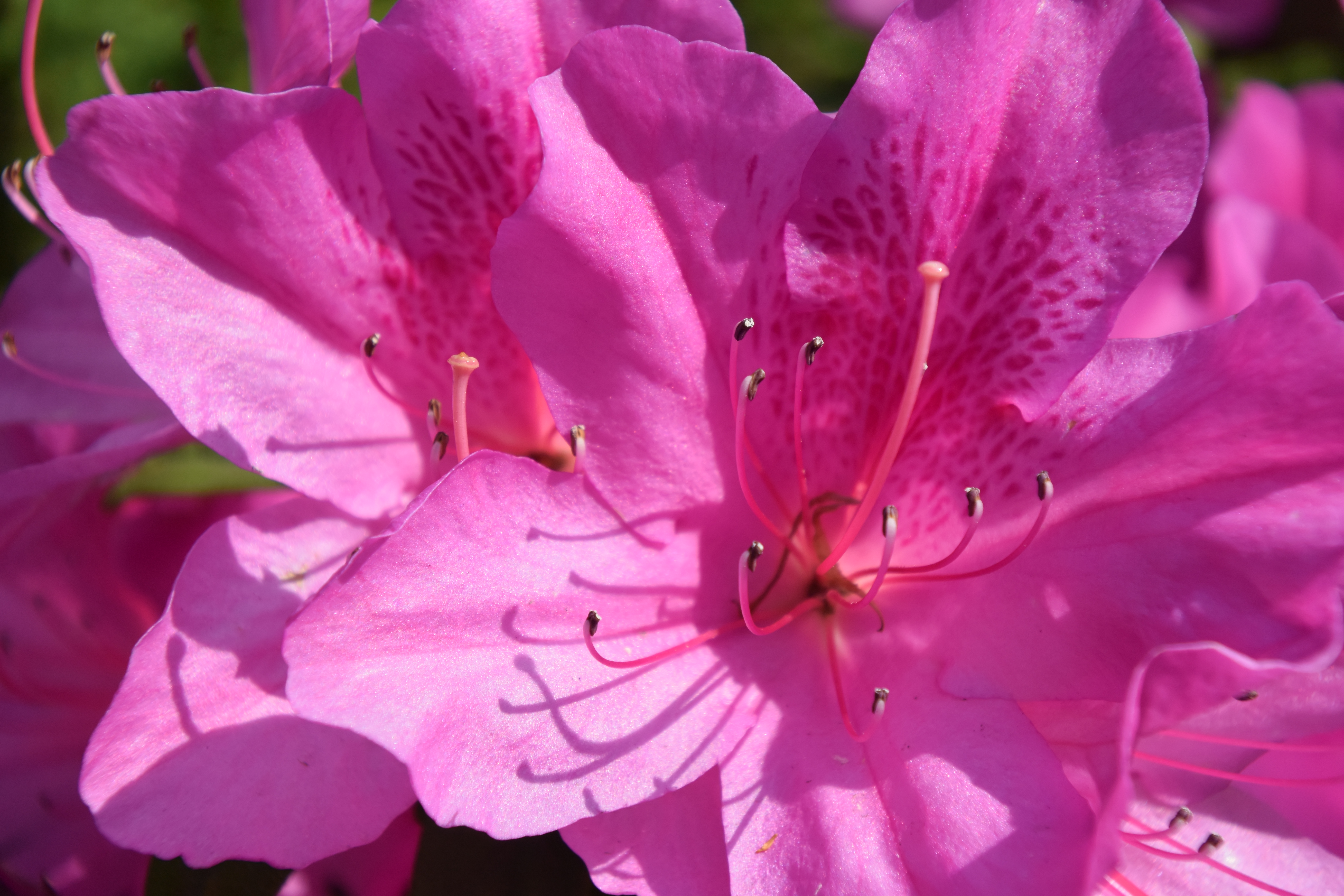 ISO160 / F5.6 / 1/500秒 / 81mm相当