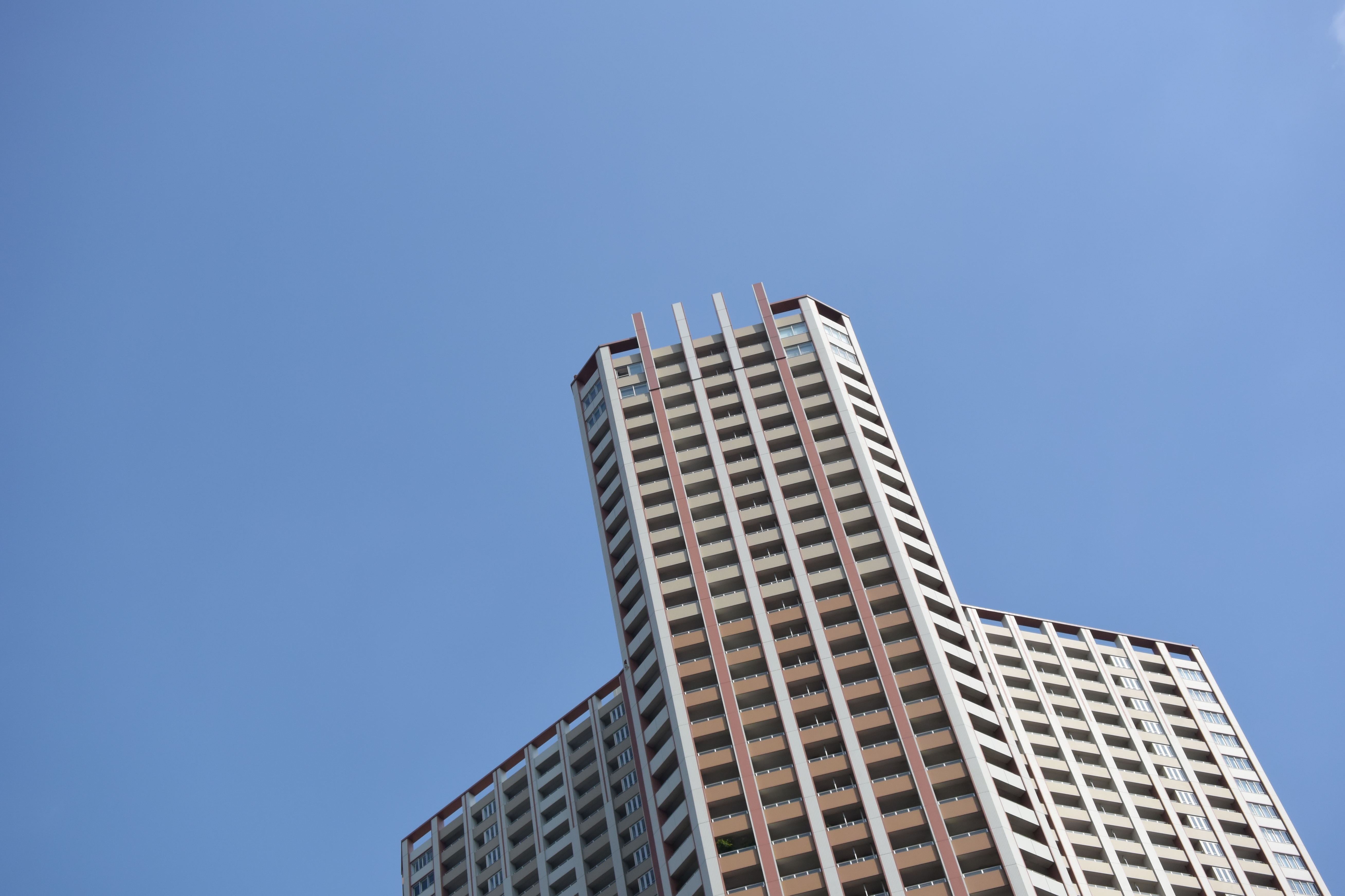 ISO160 / F5.6 / 1/800秒 / 54mm相当