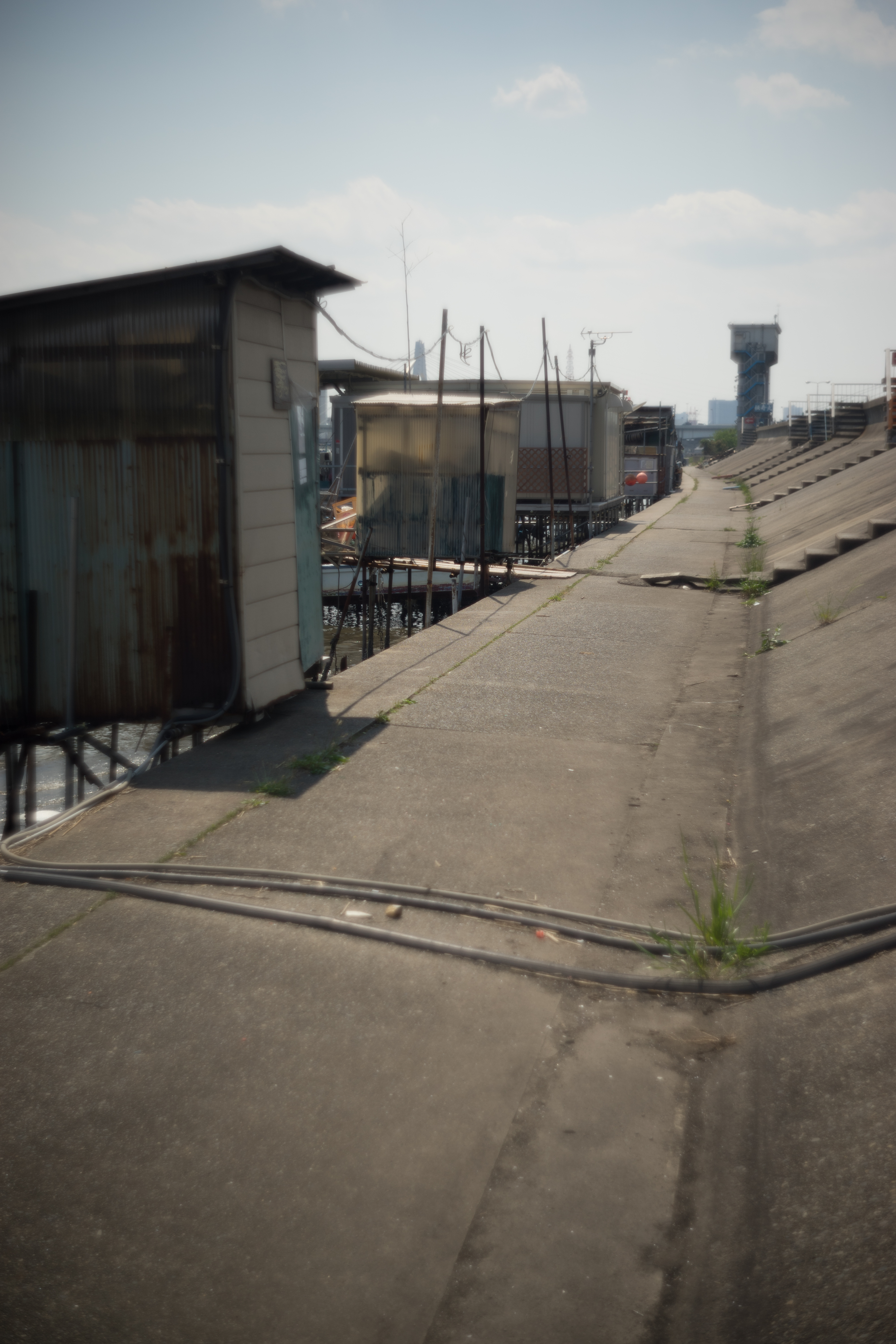 α7 / Ektar 50mm F1.9 / 6,000×4,000 / 1/6,400秒 / F1.9 / -0.7EV / ISO100 / WB:オート / 50mm