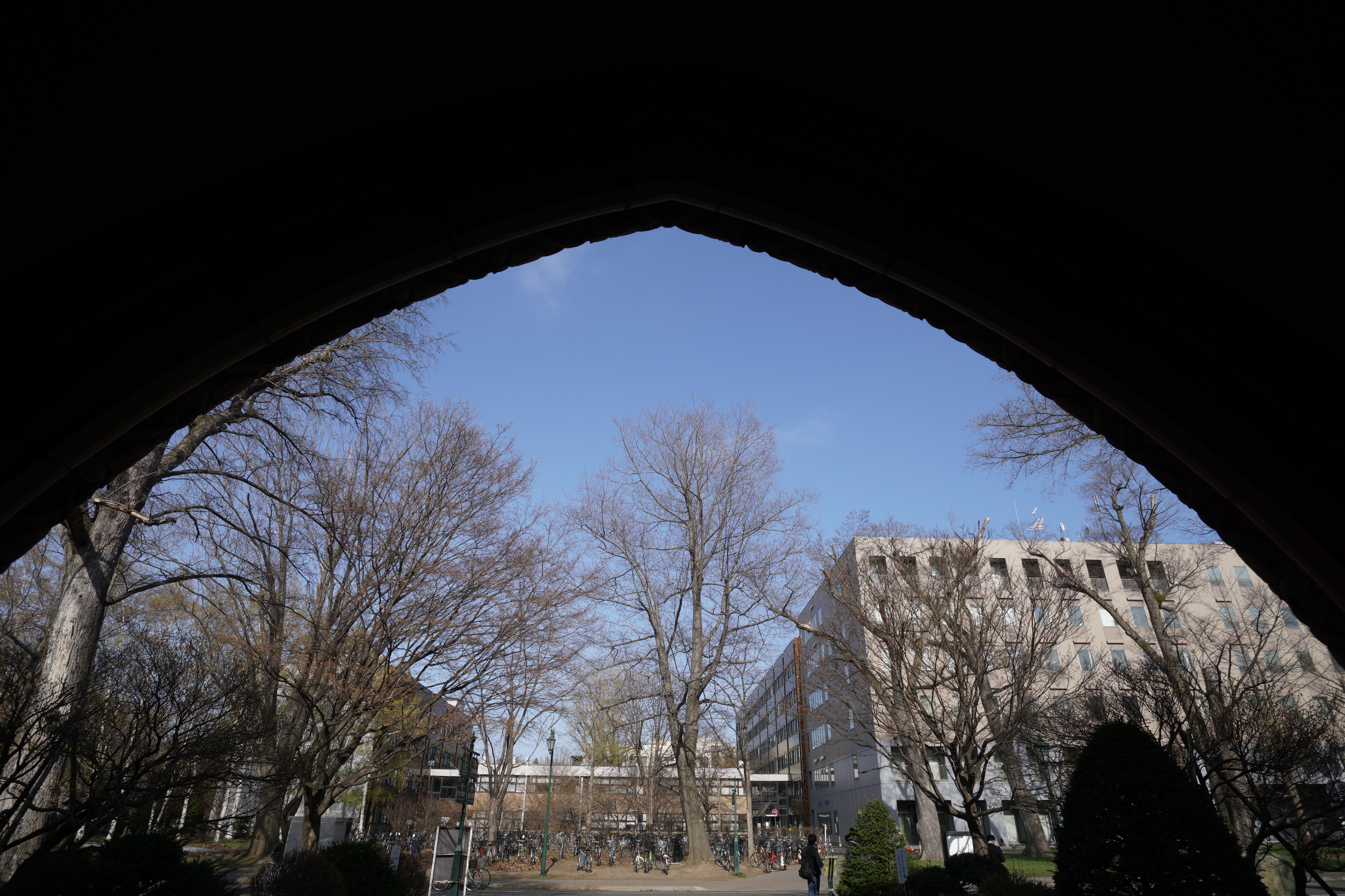 Touit 2.8/12 / 1/400秒 / F7 / 0EV / ISO100 / 絞り優先AE / 12mm